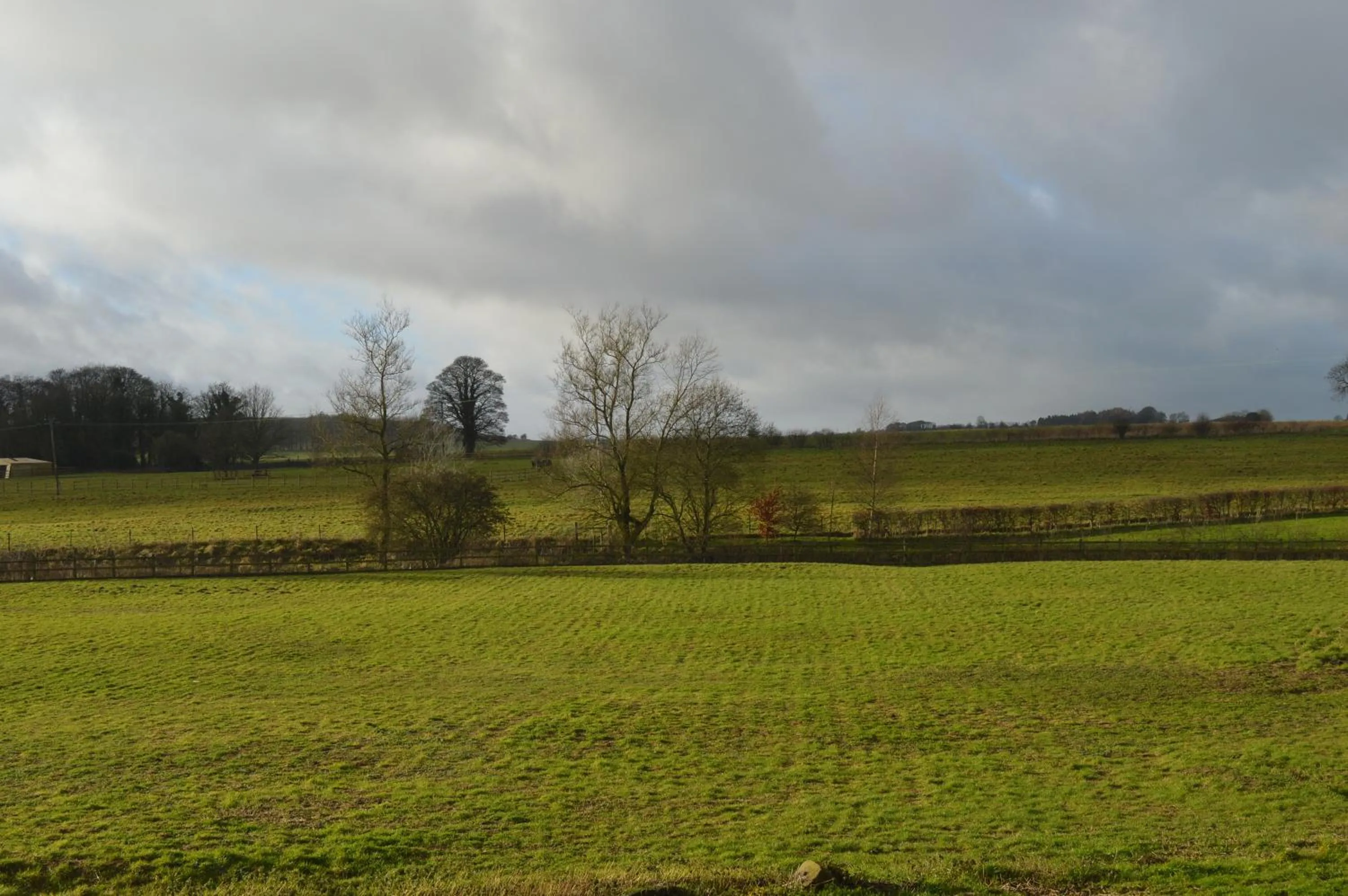 Garden in Elderbrook House