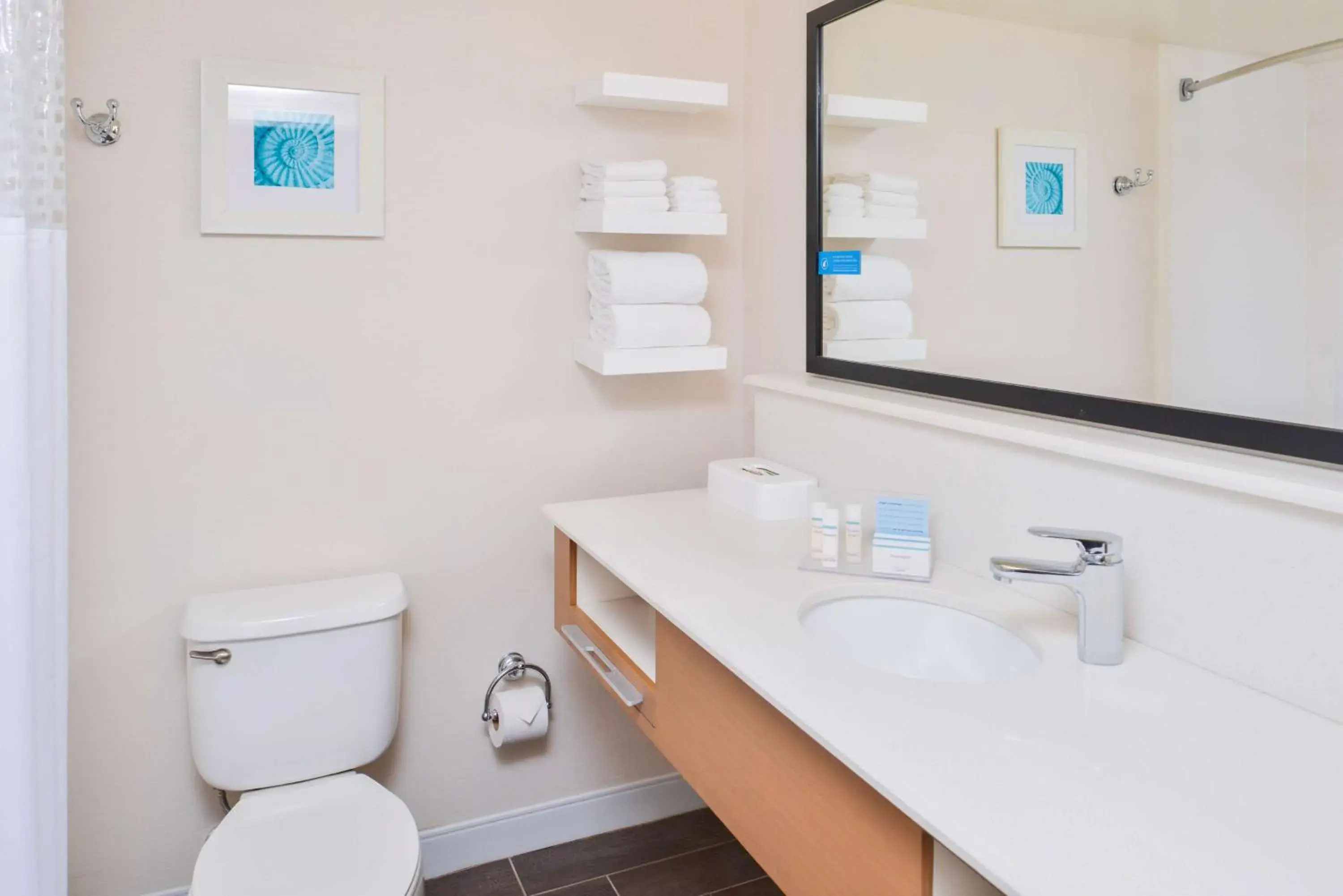 Bathroom in Hampton Inn Vero Beach Outlets Bathroom in Hampton Inn Vero Beach Outlets