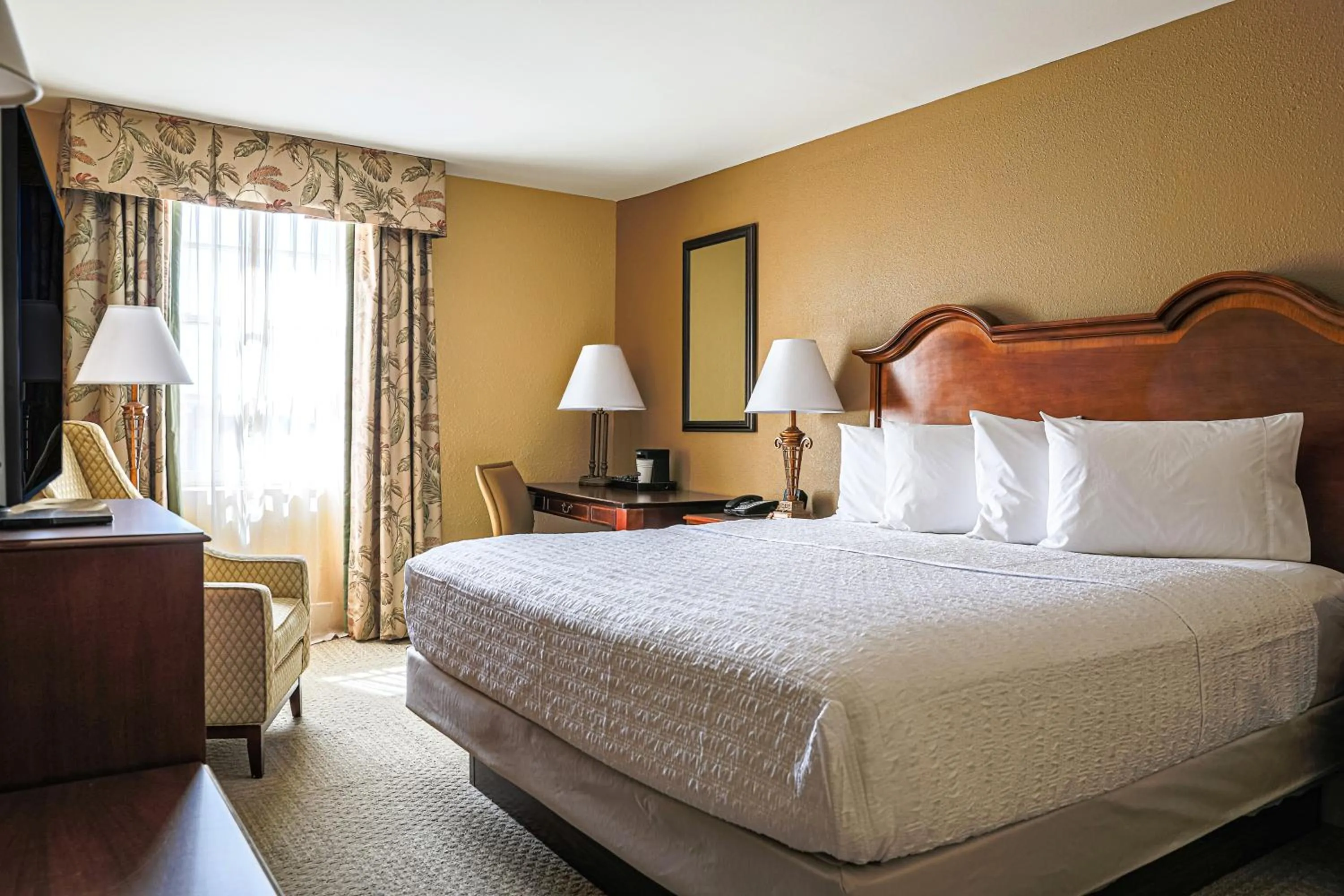 TV and multimedia, Bed in Hampton Inn Charleston-Historic District