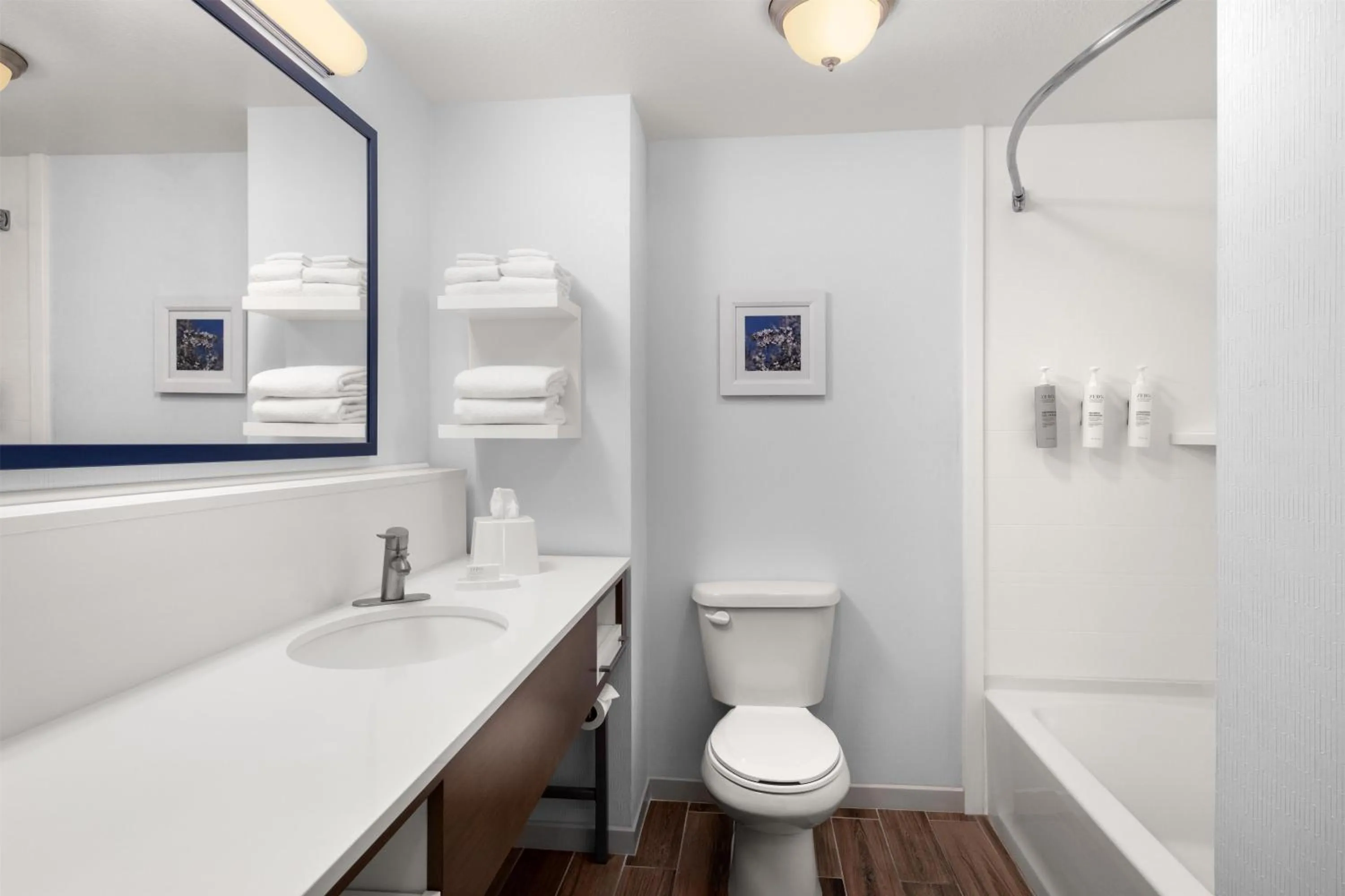 Bathroom in Hampton Inn & Suites Fresno