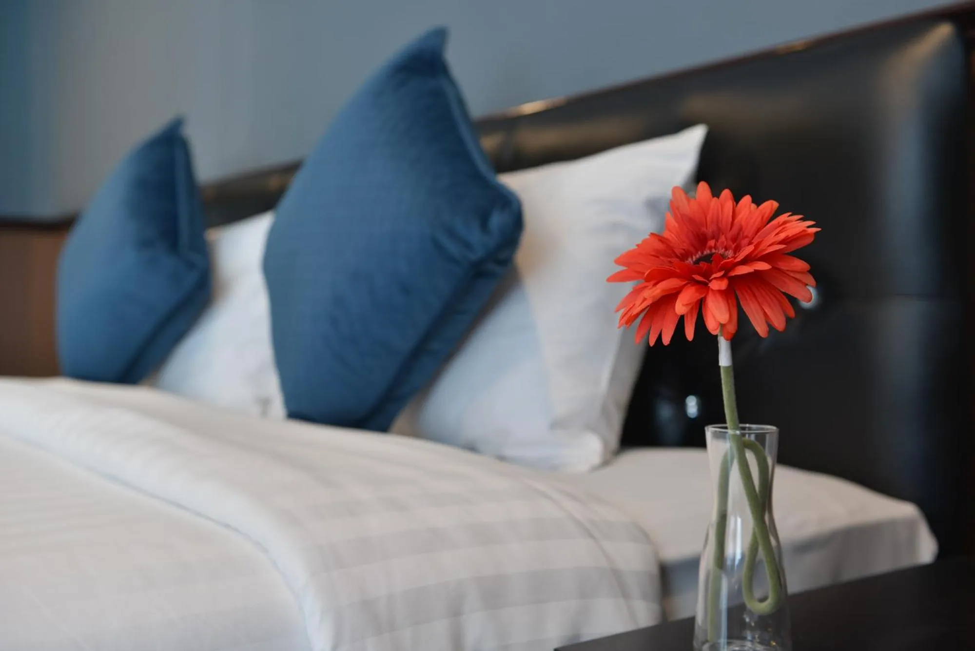 Bed in The Breton Hotel Media