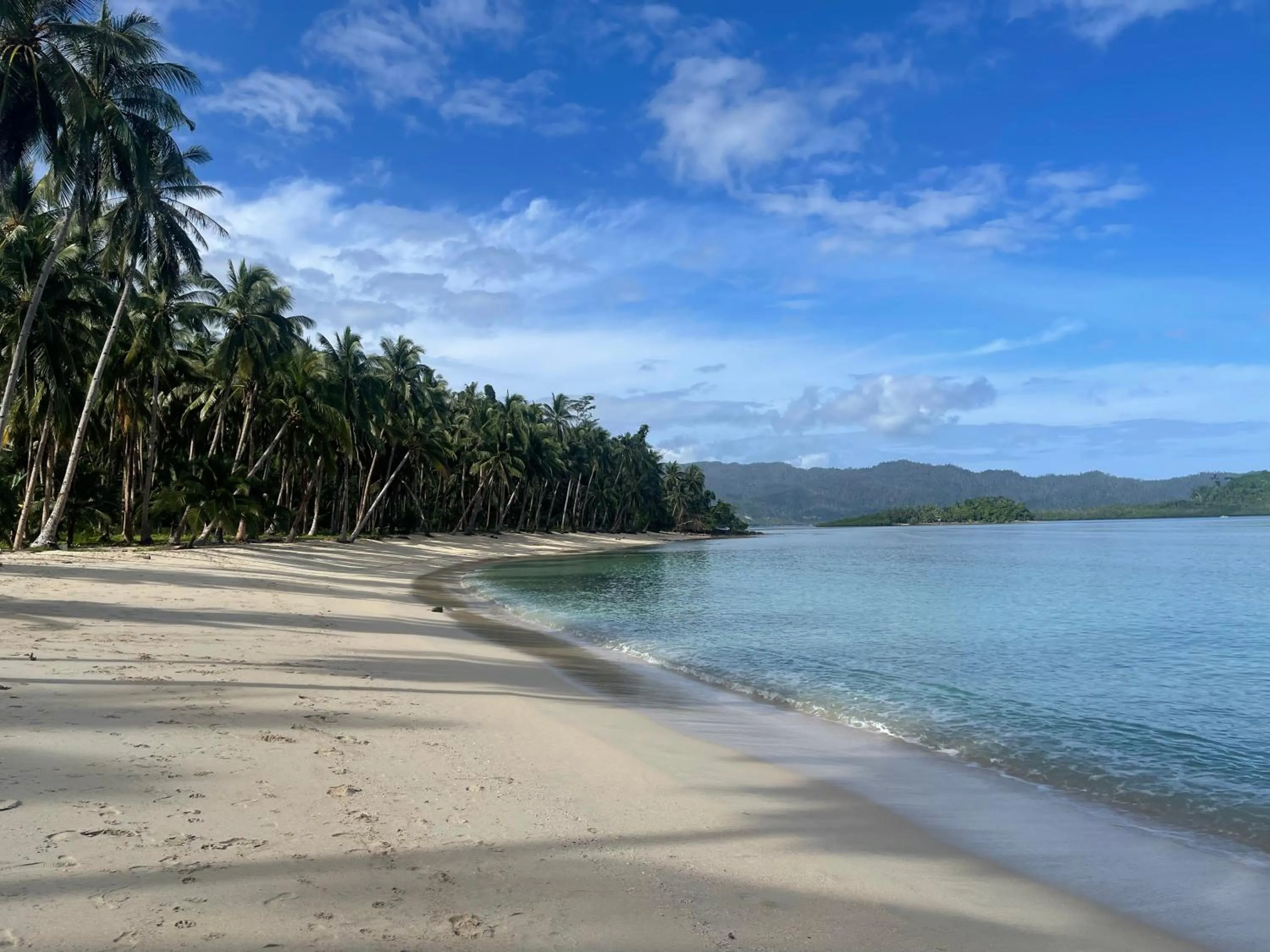 Jungle bar Resto & Cottages