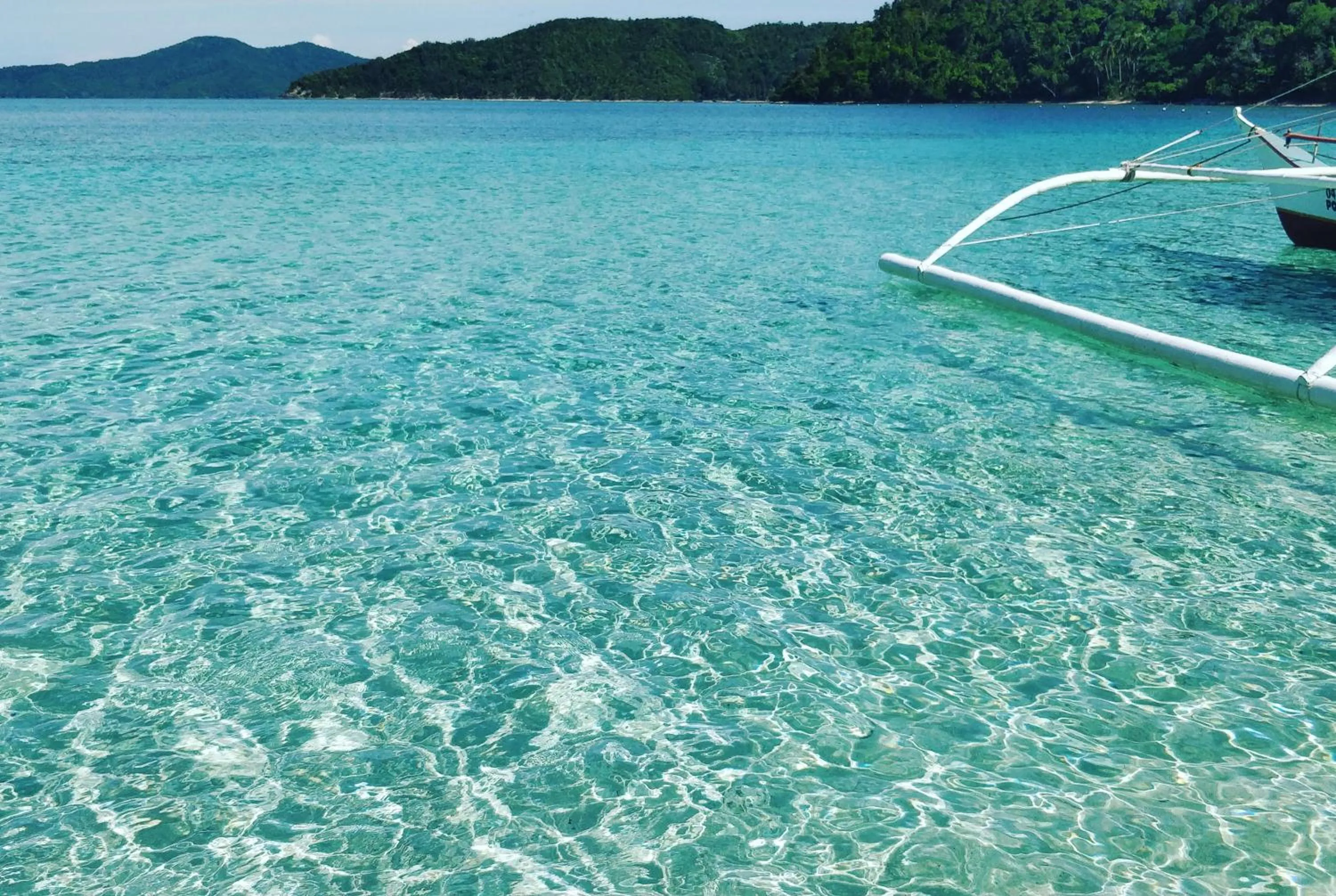 Jungle bar Resto & Cottages