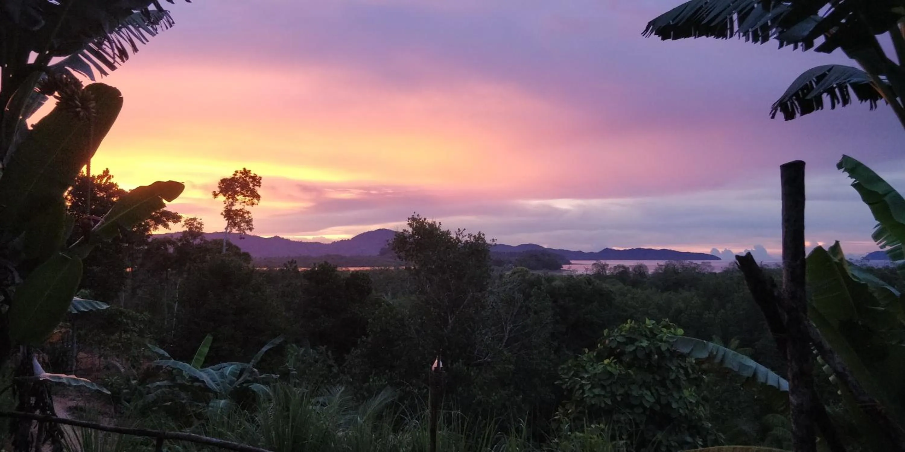 Restaurant/places to eat in Jungle bar Resto & Cottages