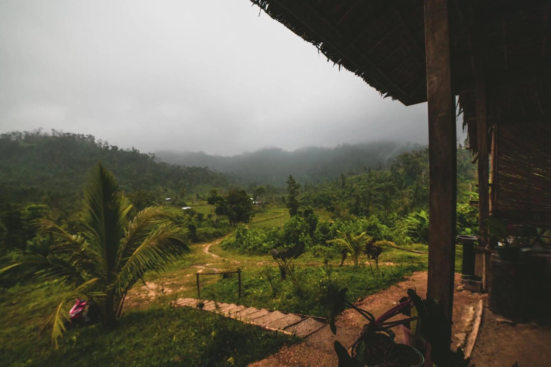 Restaurant/places to eat in Jungle bar Resto & Cottages