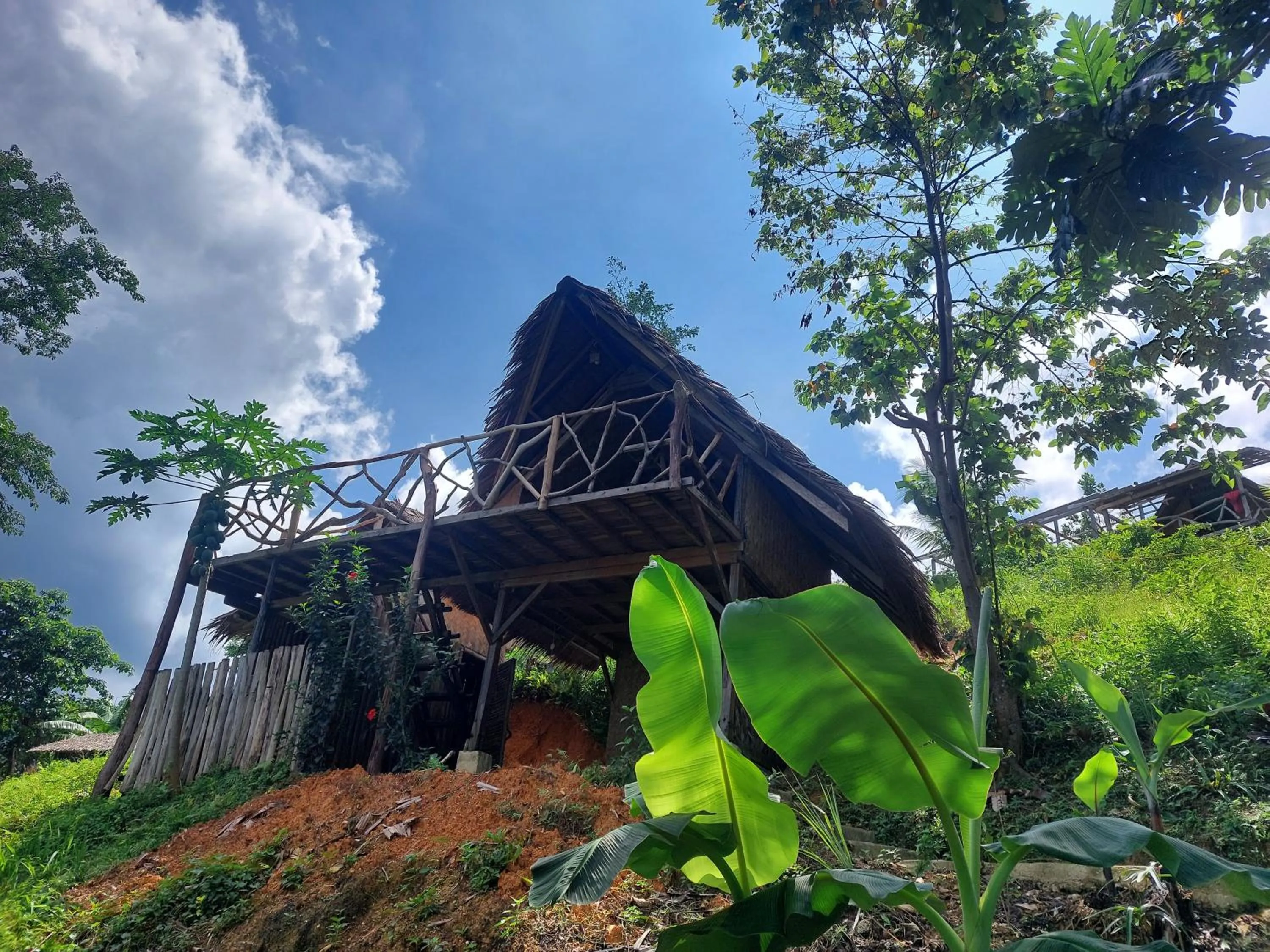 Jungle bar Resto & Cottages
