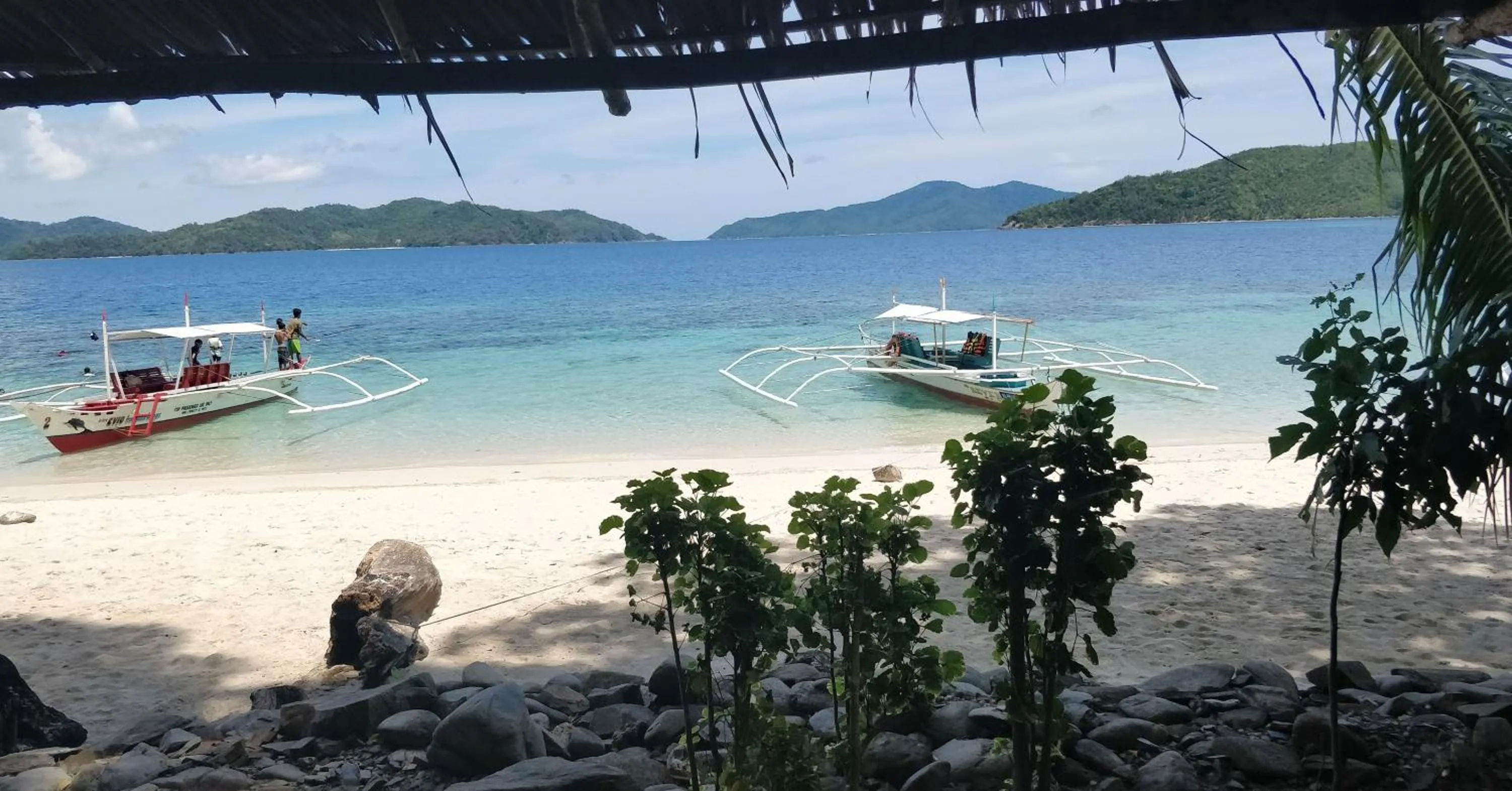 Jungle bar Resto & Cottages