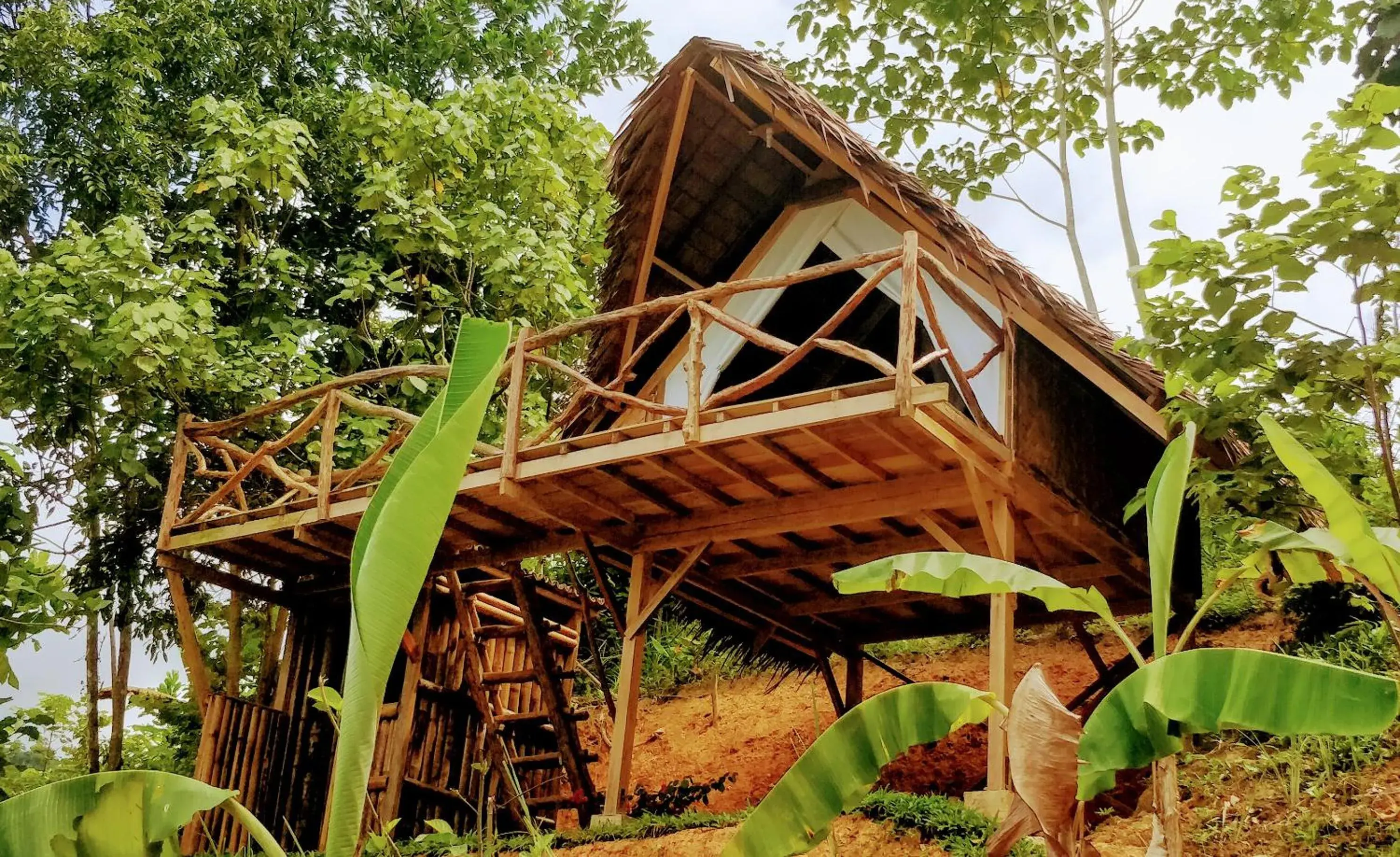 Bungalow with Sea View in Jungle bar Resto & Cottages Bungalow with Sea View in Jungle bar Resto & Cottages