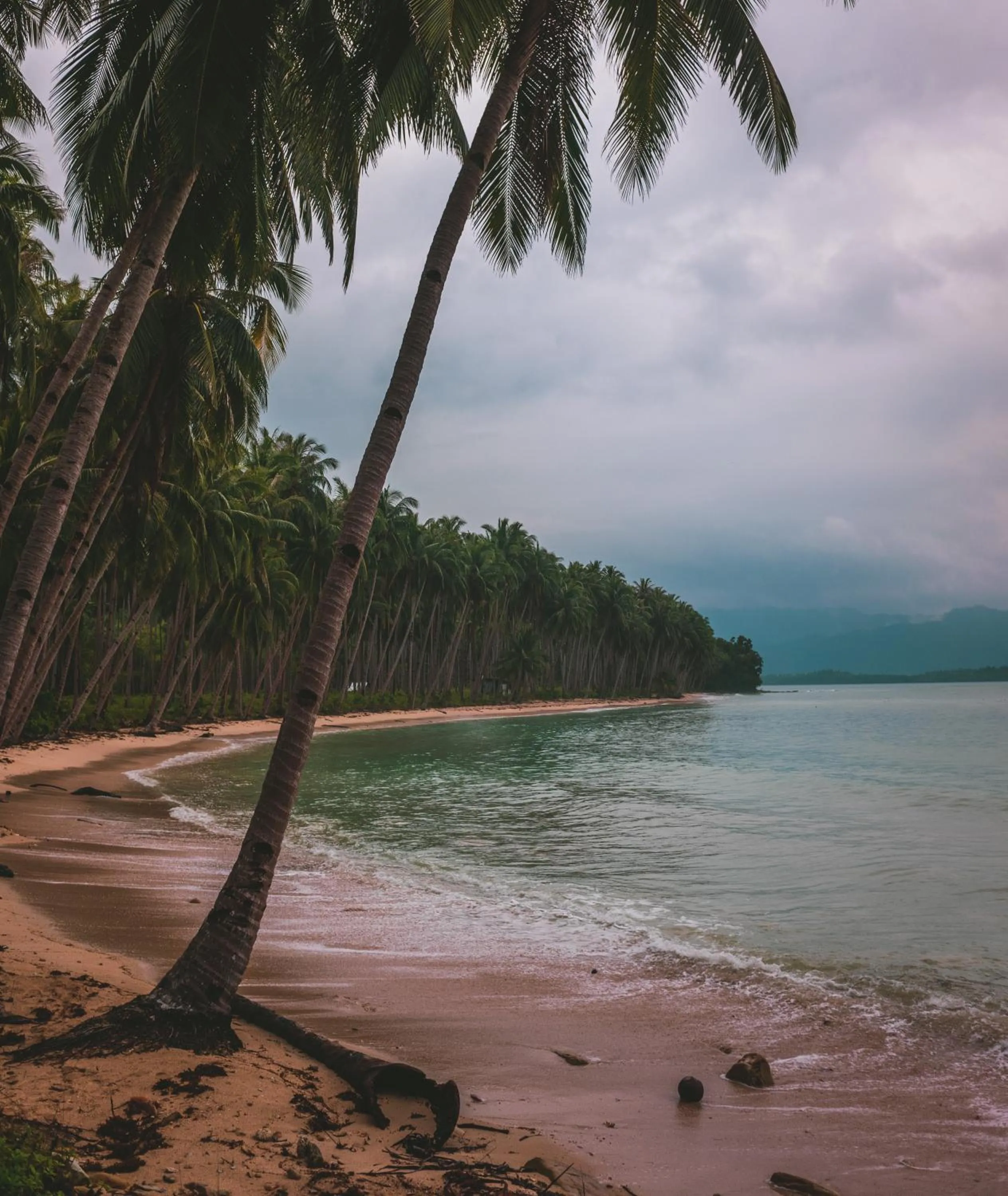 Jungle bar Resto & Cottages