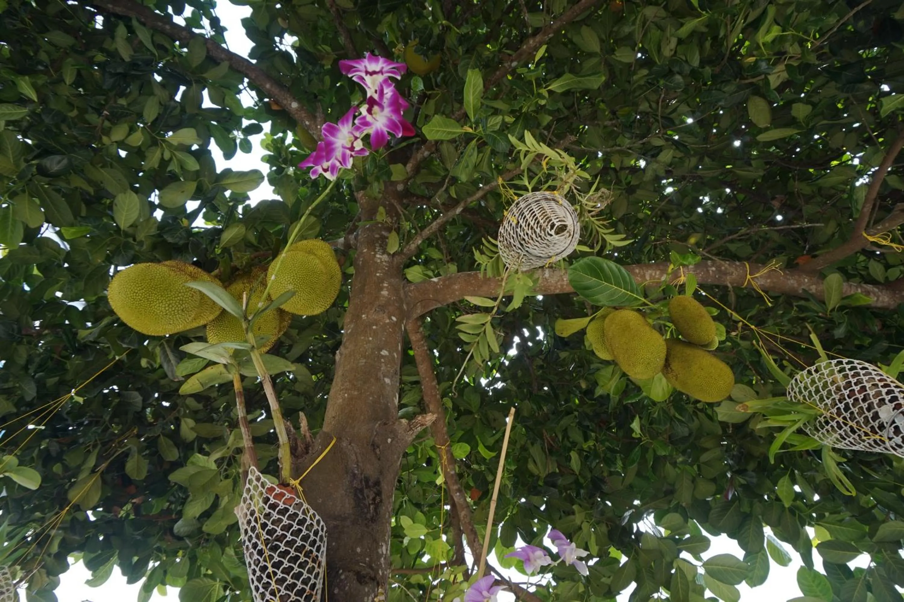 Garden in Hotel White Gate Residency -near to Vaikom Sri Mahadeva Temple