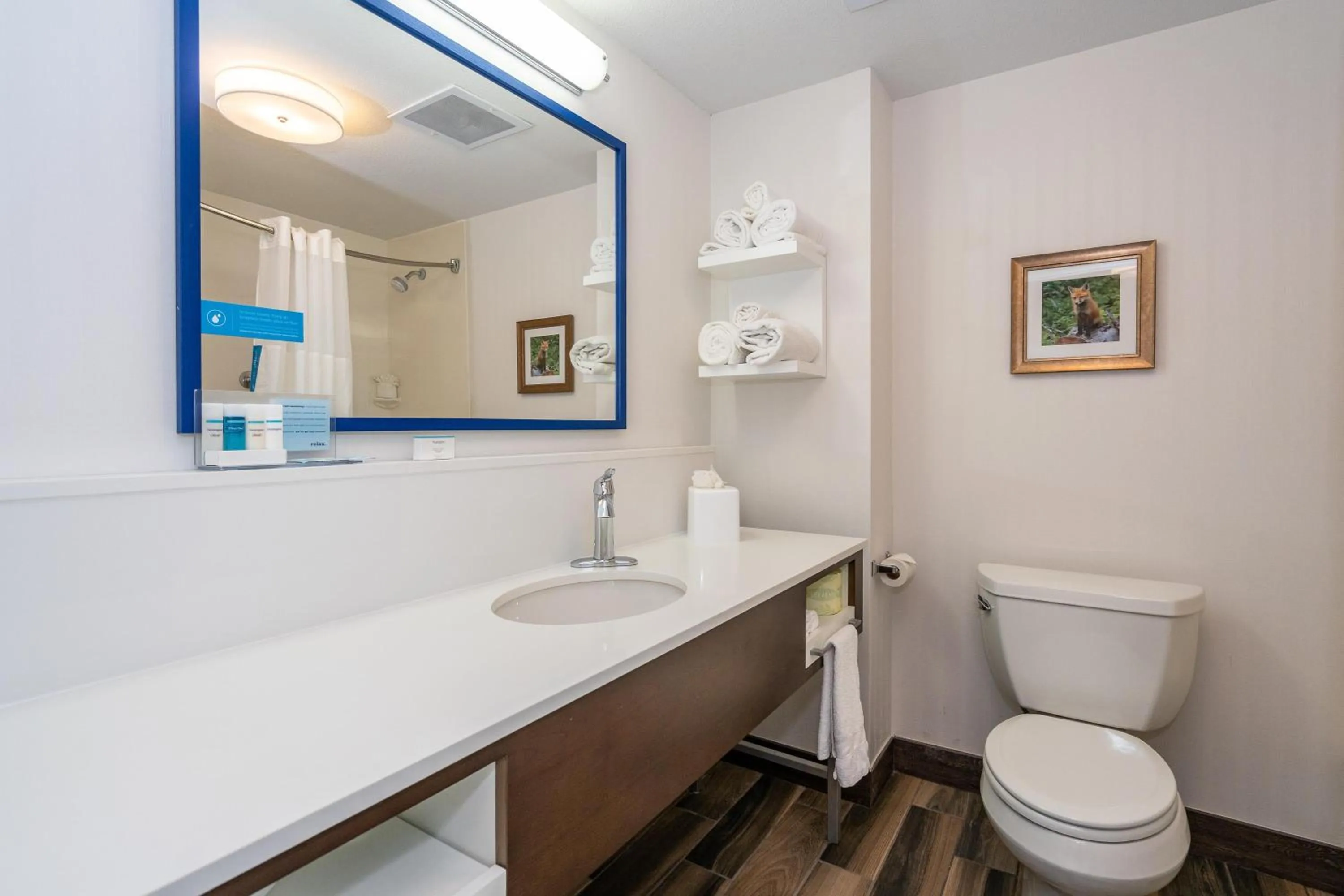 Bathroom in Hampton Inn & Suites Flagstaff - West