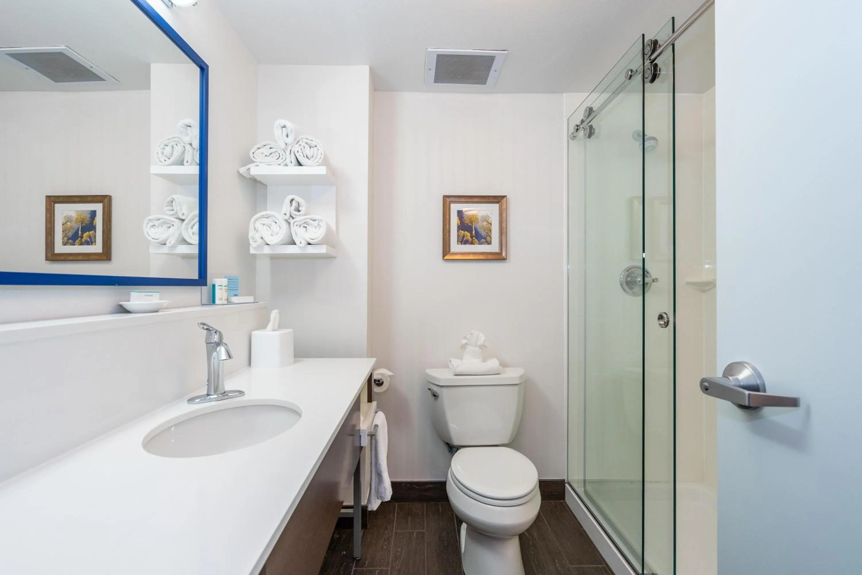 Bathroom in Hampton Inn & Suites Flagstaff - West