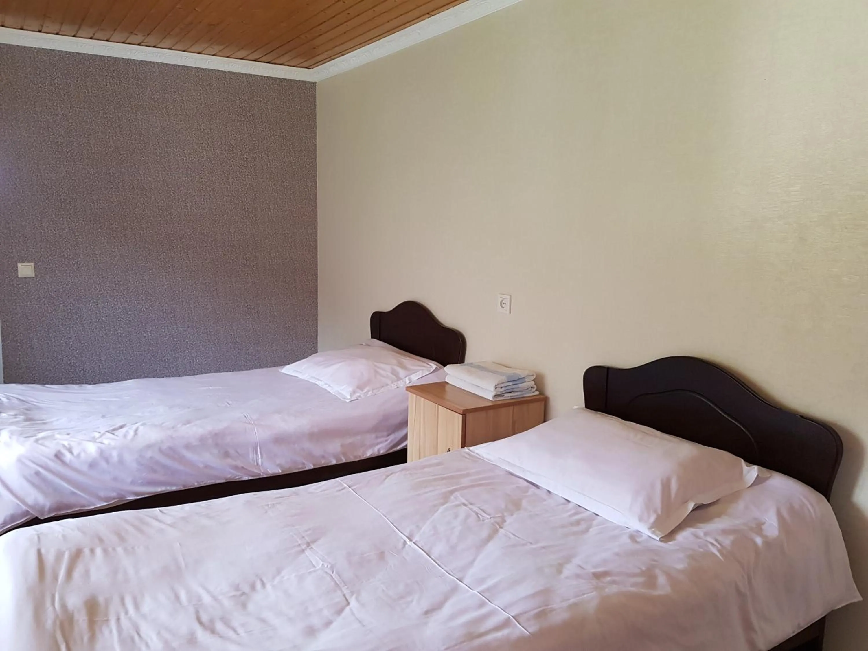 Twin Room with Bathroom in Hilltop Mestia