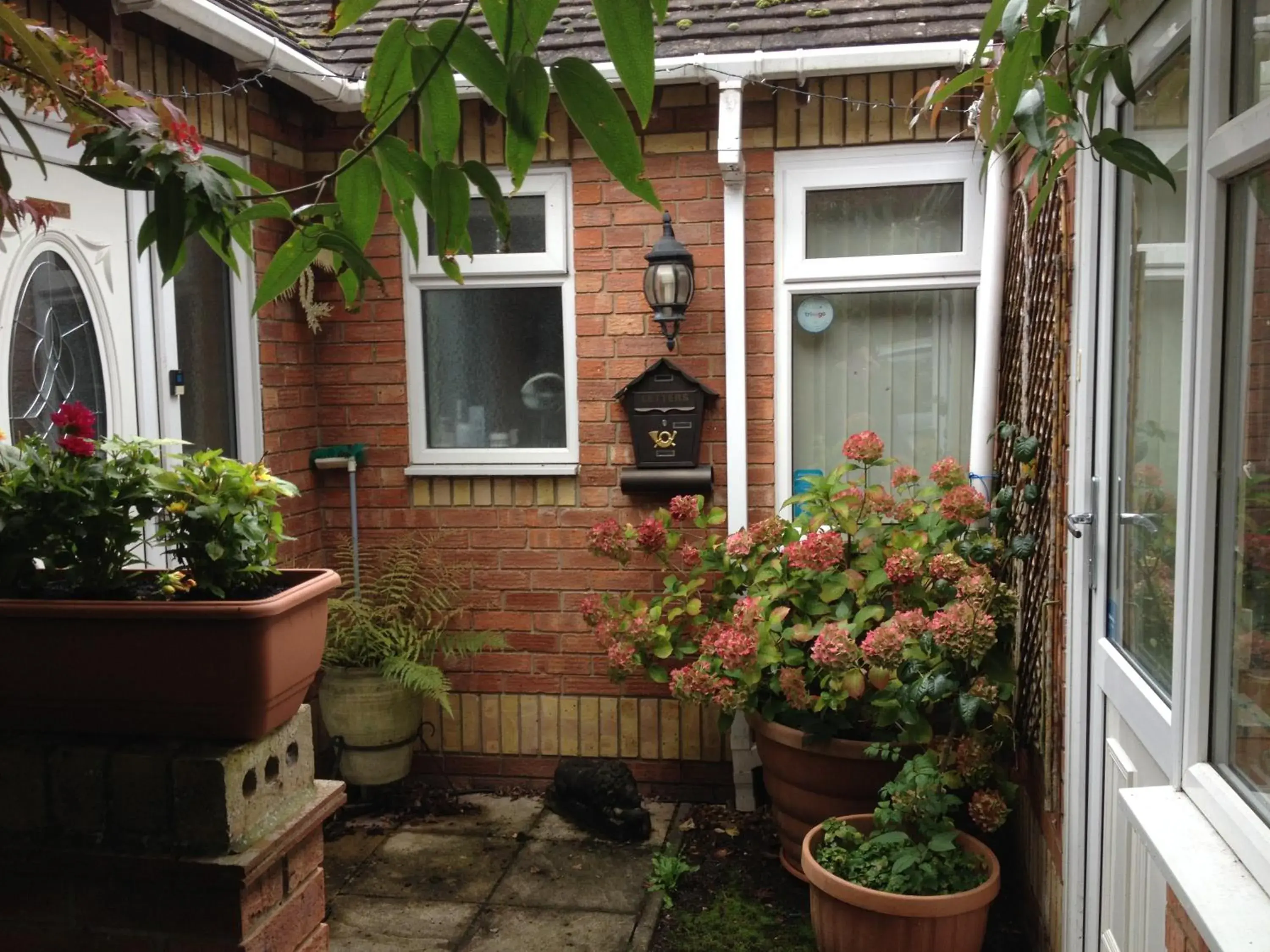 Superior Apartment in The Annex - Guest Gardens Superior Apartment in The Annex - Guest Gardens