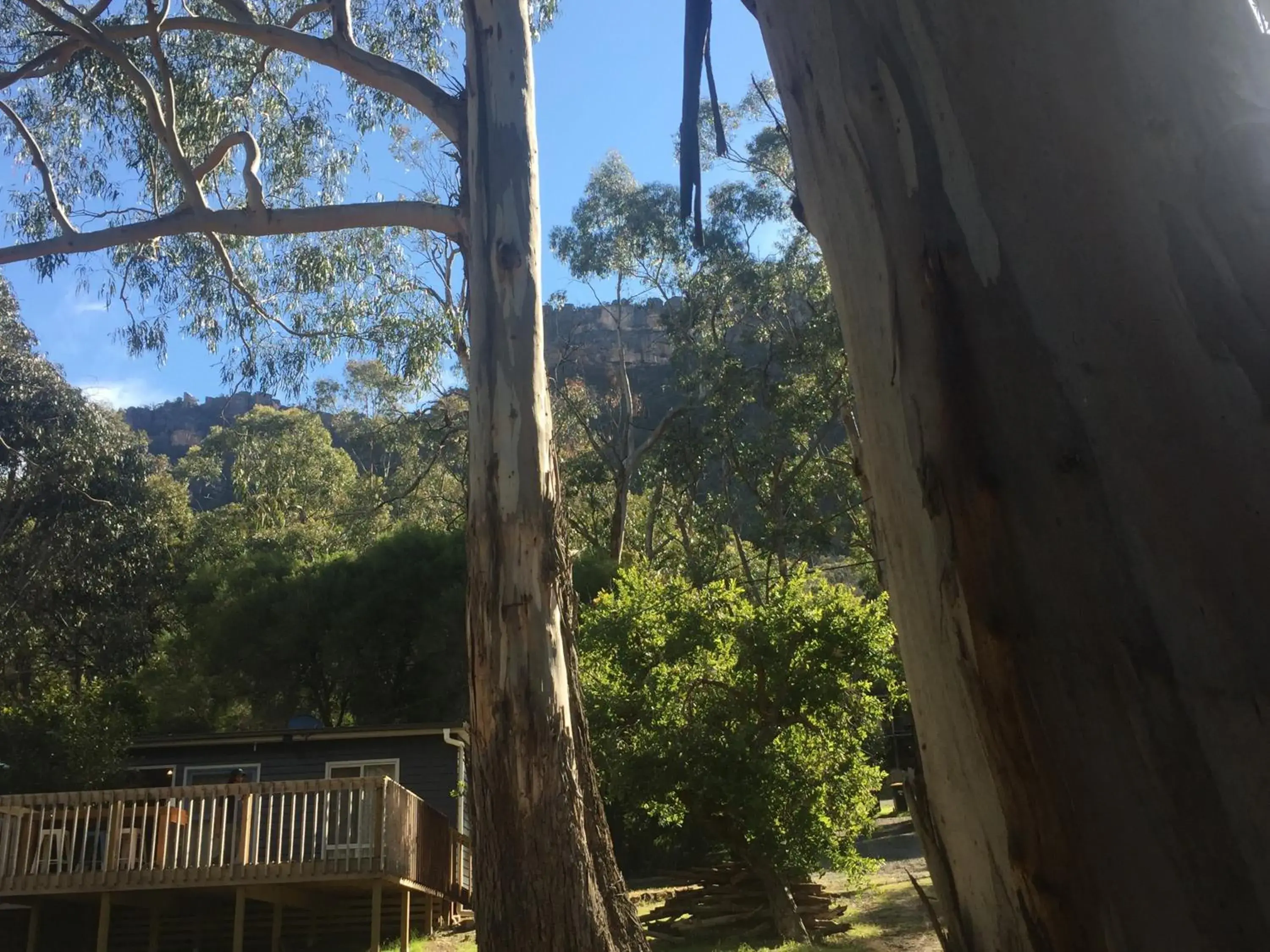 Grampians Nest Grampians Nest
