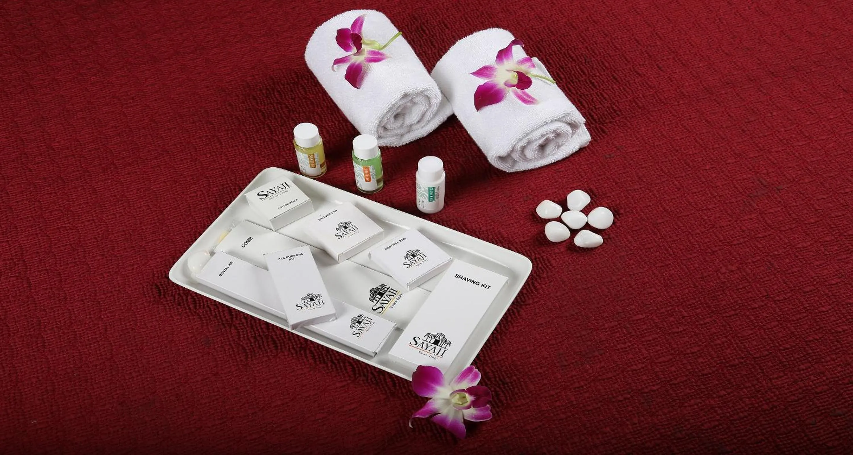 Bathroom in Sayaji Pune