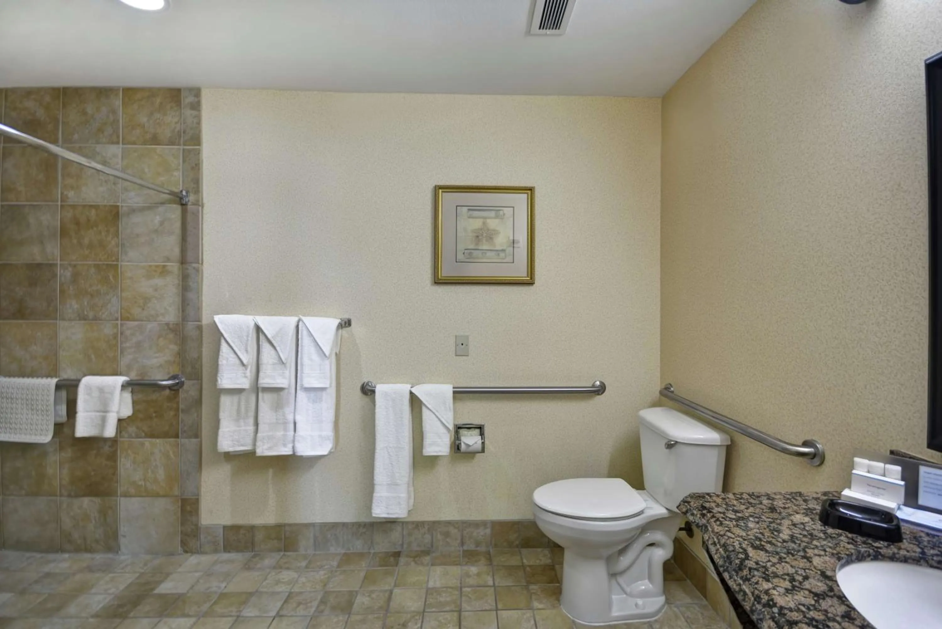 Bathroom in Hampton Inn Corpus Christi - Northwest I-37