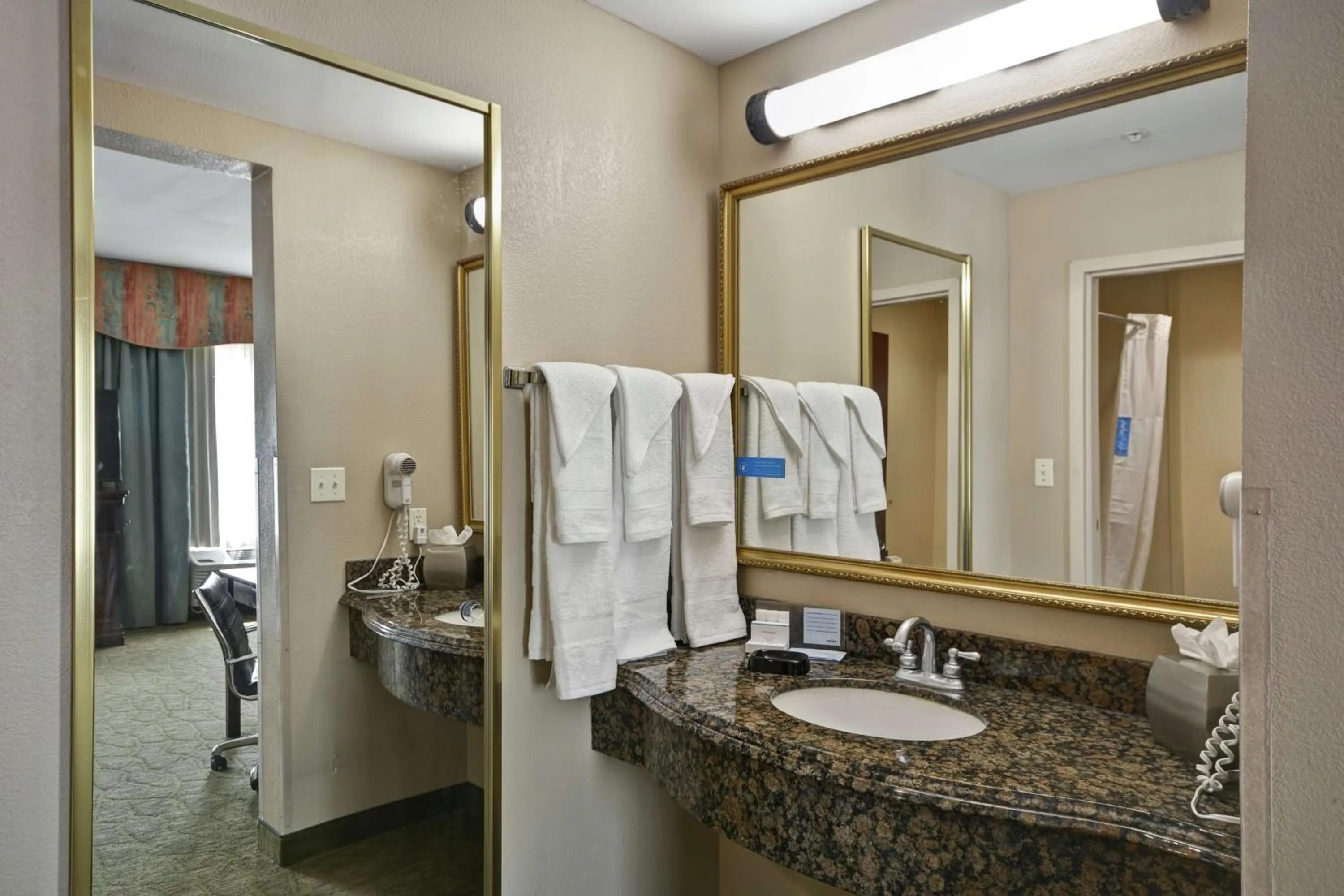 Bathroom in Hampton Inn Corpus Christi - Northwest I-37