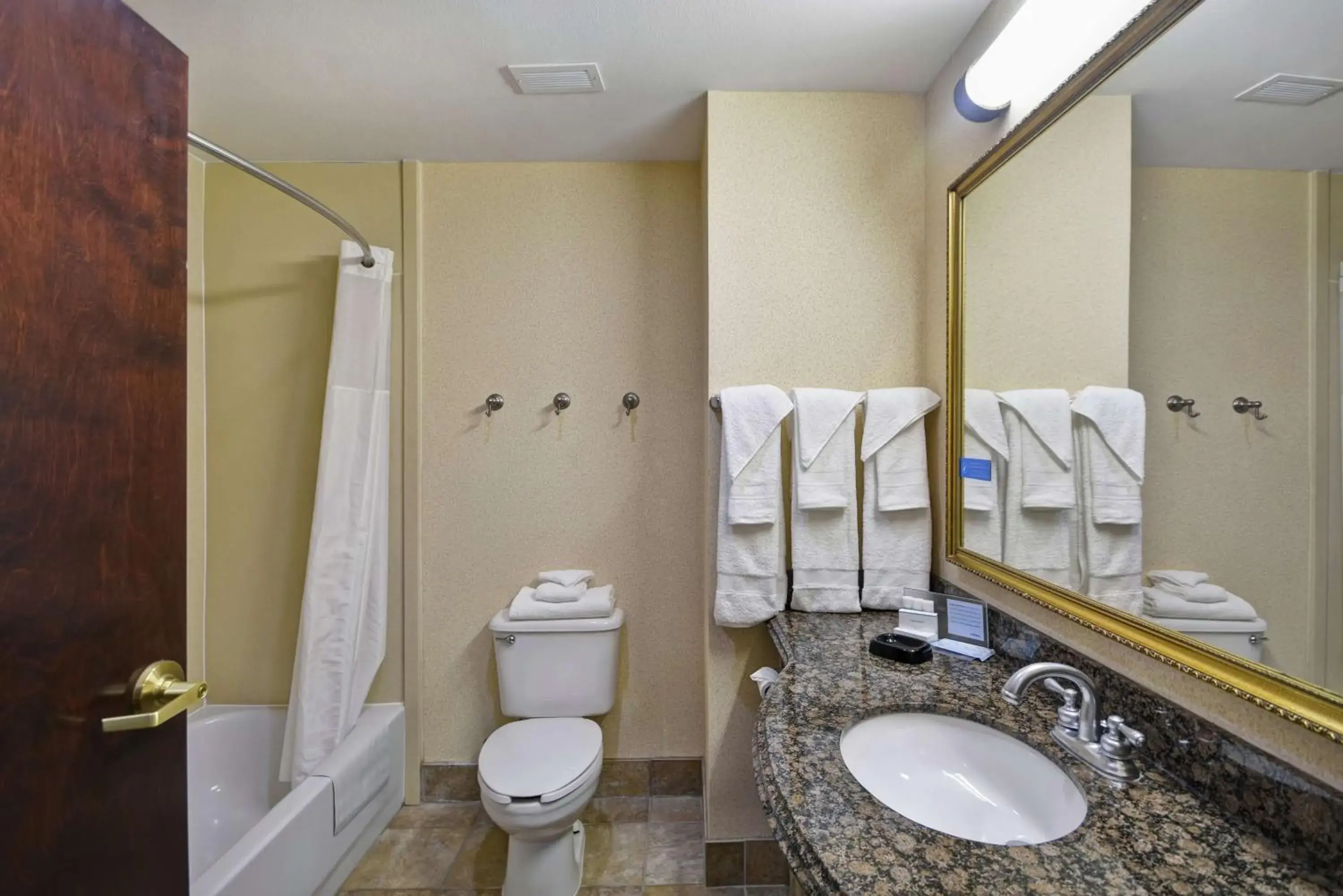 Bathroom in Hampton Inn Corpus Christi - Northwest I-37 Bathroom in Hampton Inn Corpus Christi - Northwest I-37