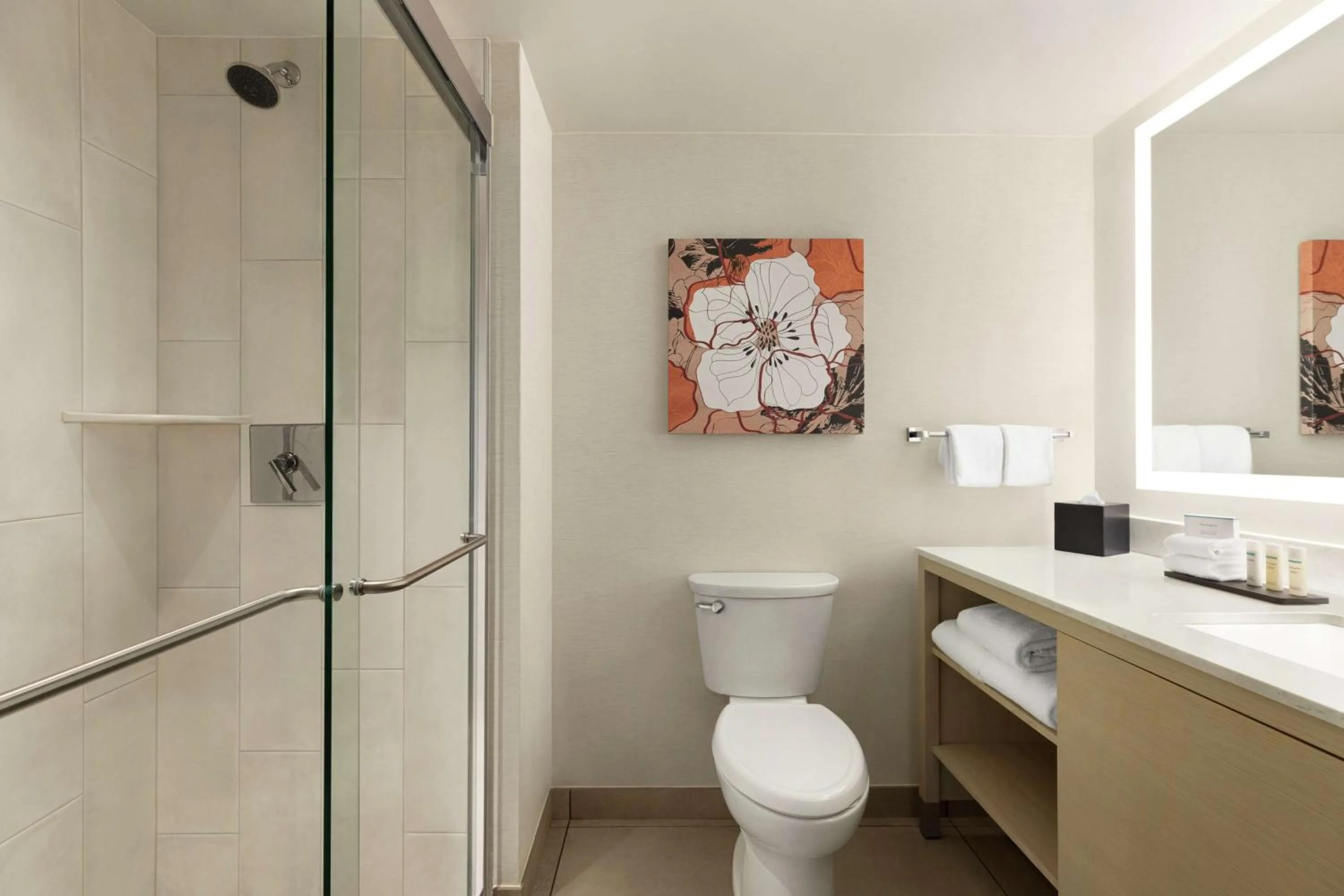 Bathroom in Embassy Suites by Hilton Denver International Airport