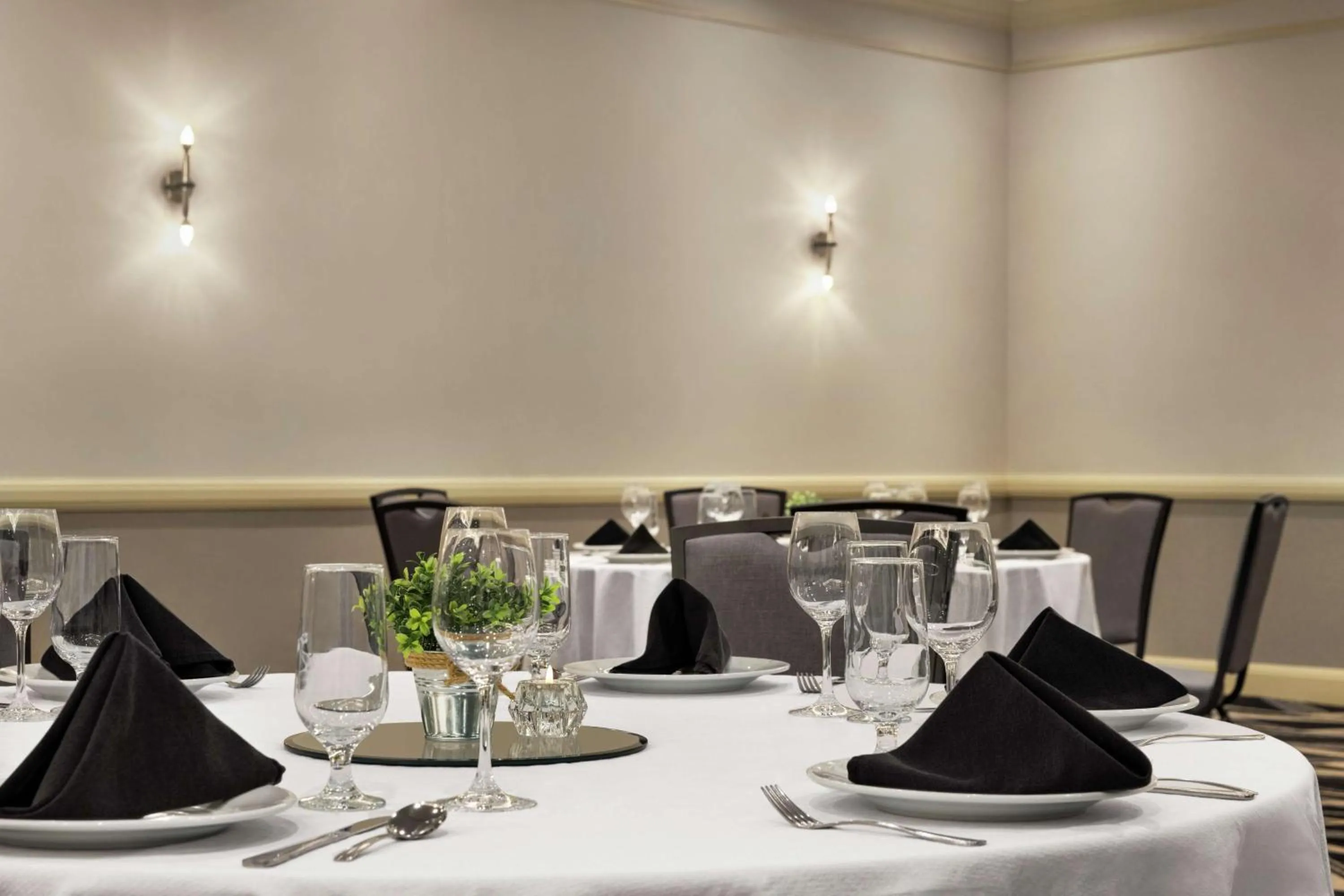 Meeting/conference room in Embassy Suites by Hilton Denver International Airport