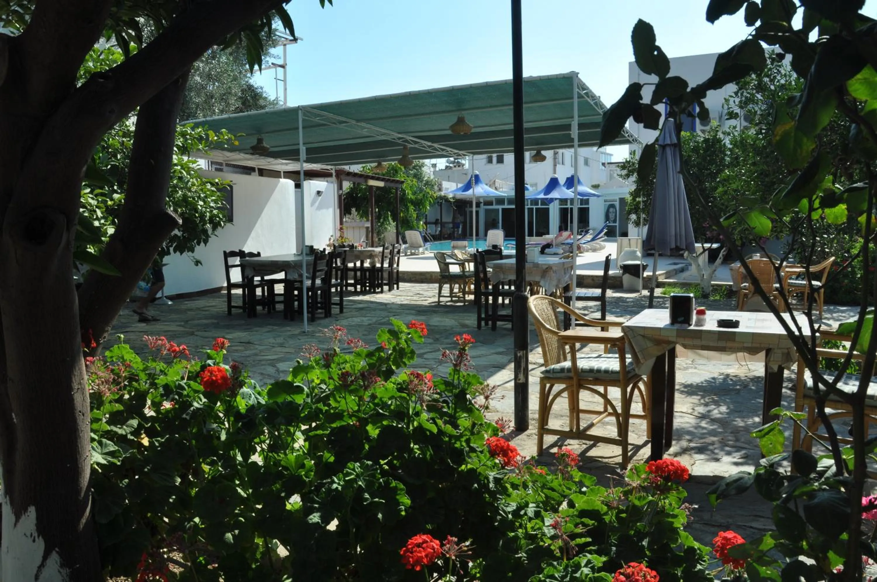 Restaurant/places to eat in Bodrum Blu Hotel