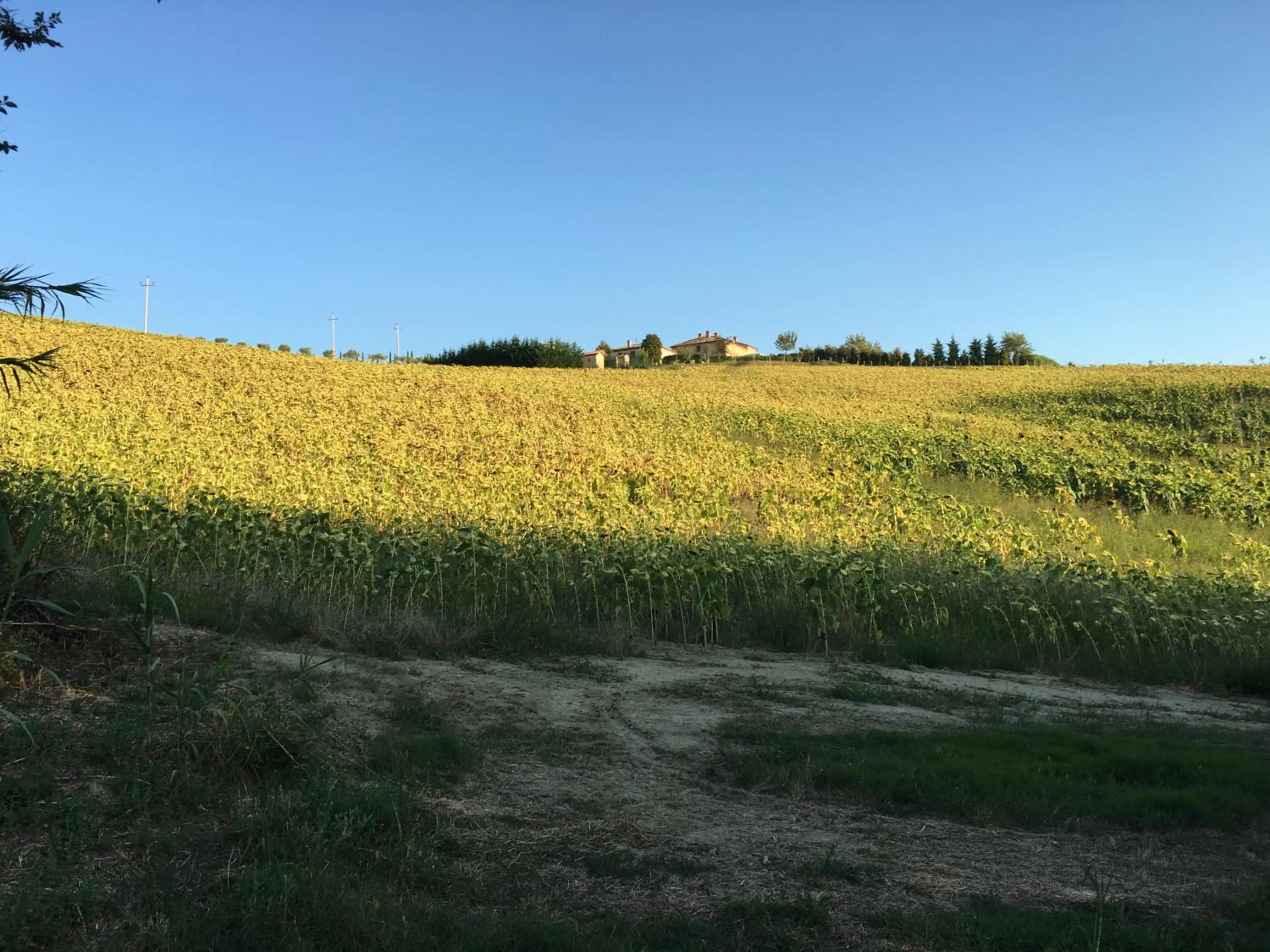 On site in Relais Il Margarito