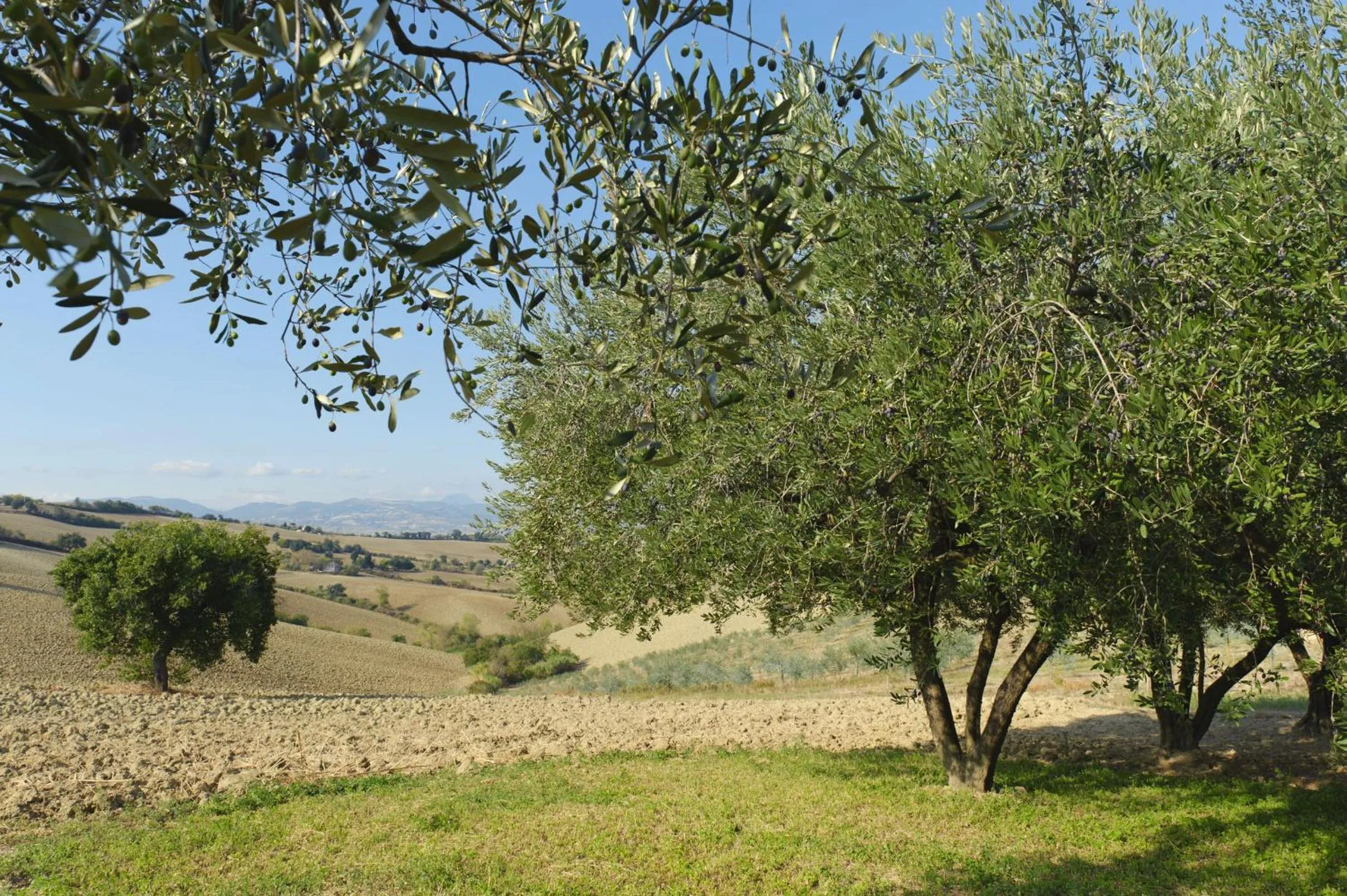 Spring in Relais Il Margarito