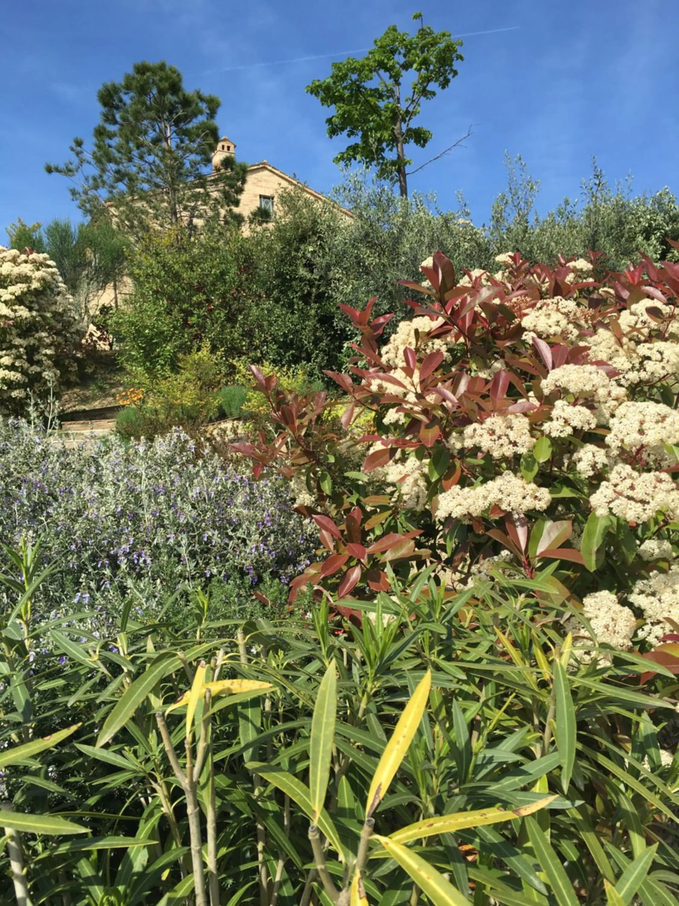 Spring in Relais Il Margarito