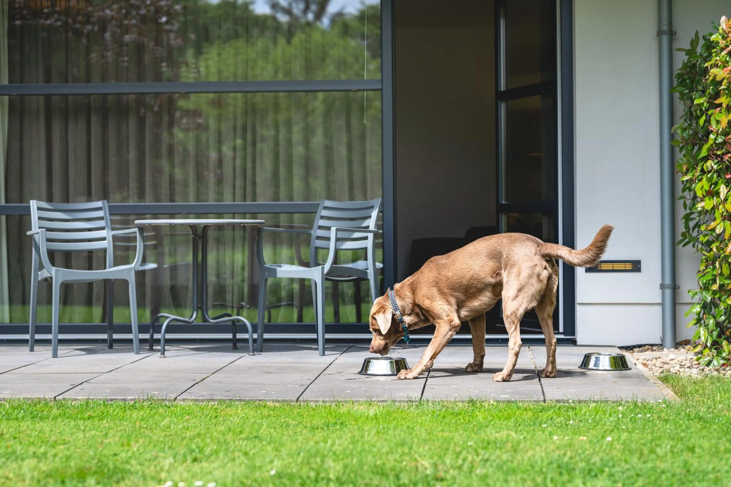 Pets in Golfhotel Gut Neuenhof