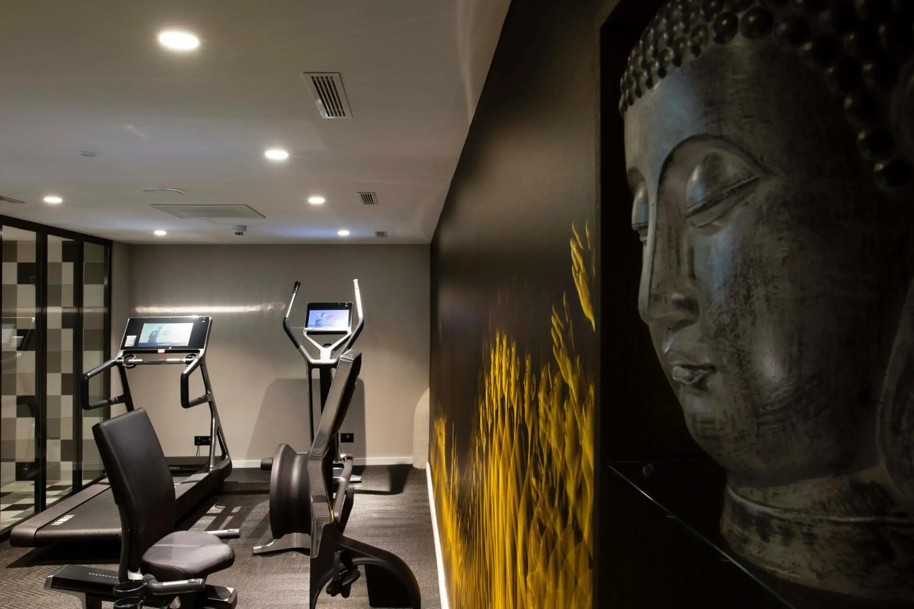Fitness centre/facilities in Hotel D Geneva Fitness centre/facilities in Hotel D Geneva