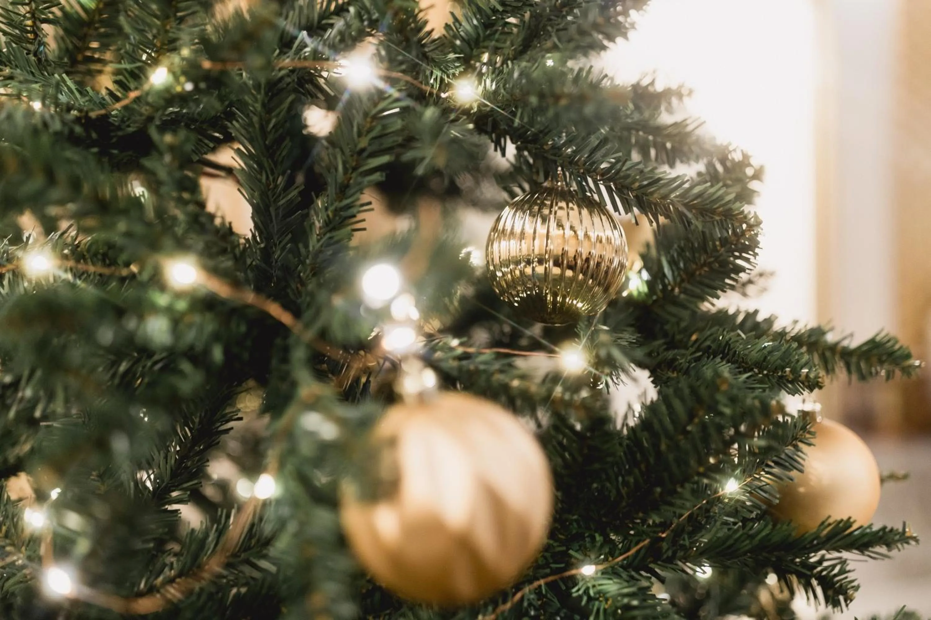 Lobby or reception in Hotel D Geneva