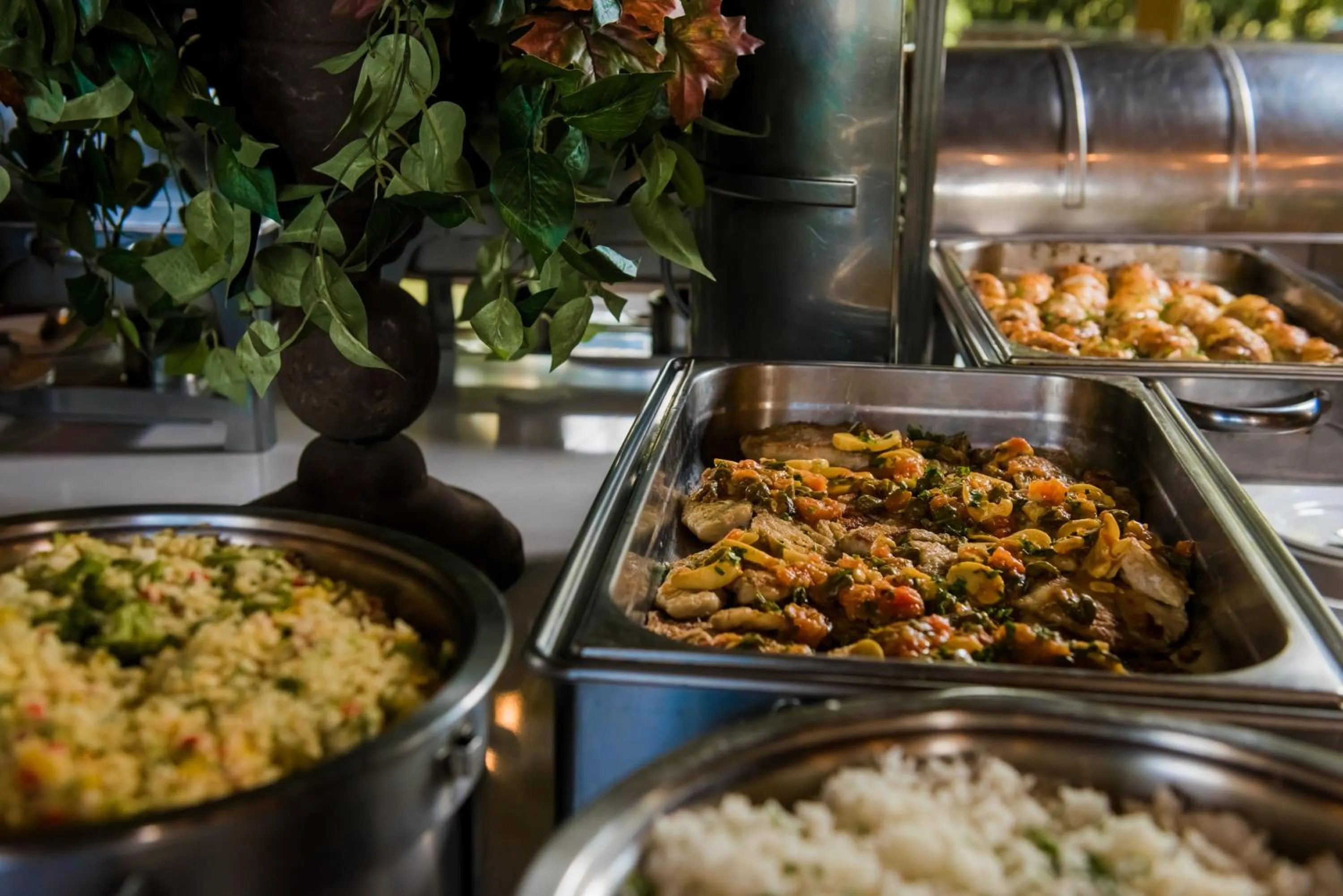 Food and drinks in Hotel Internacional Gravatal