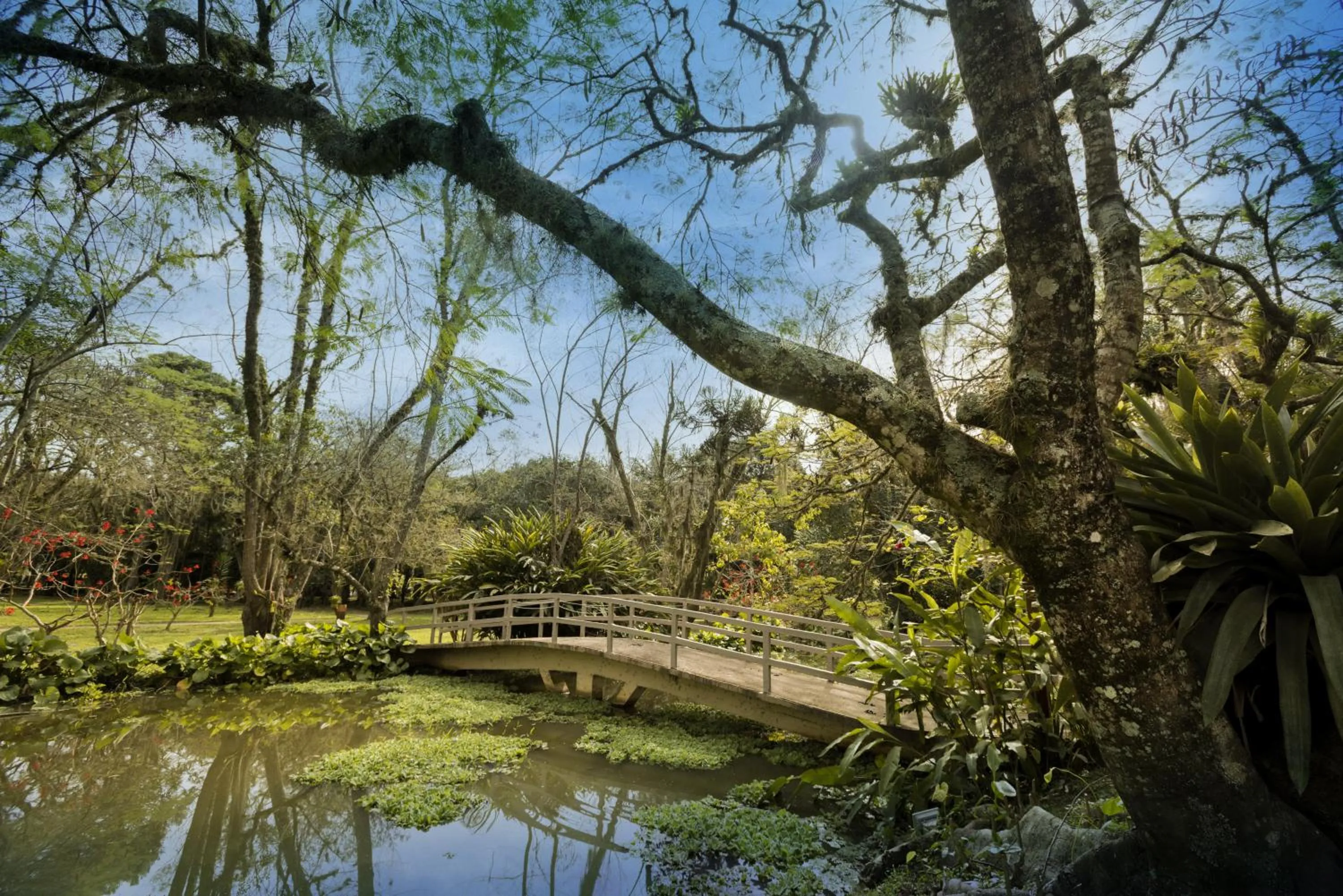 Natural landscape in Hotel Internacional Gravatal