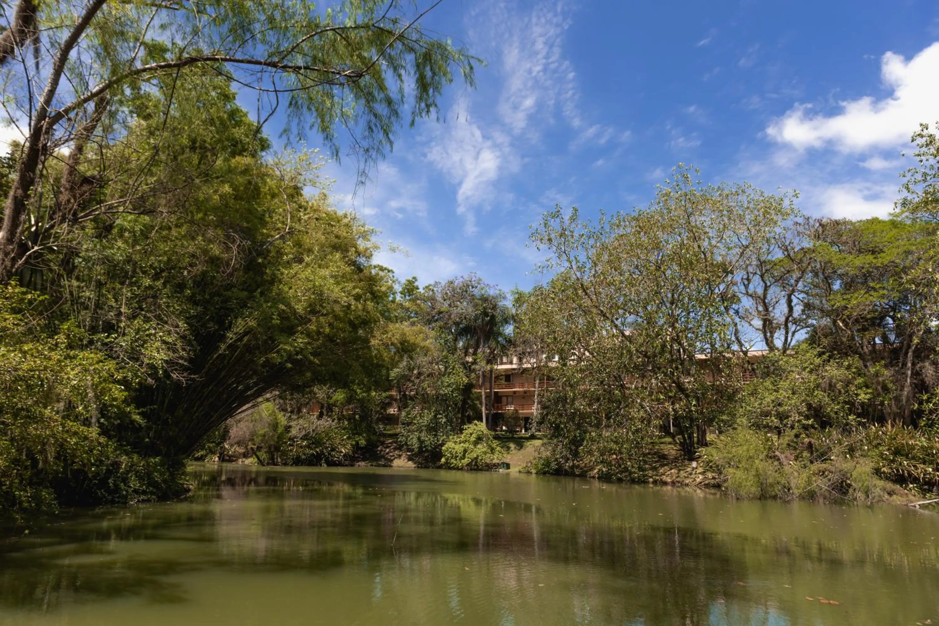 Natural landscape in Hotel Internacional Gravatal
