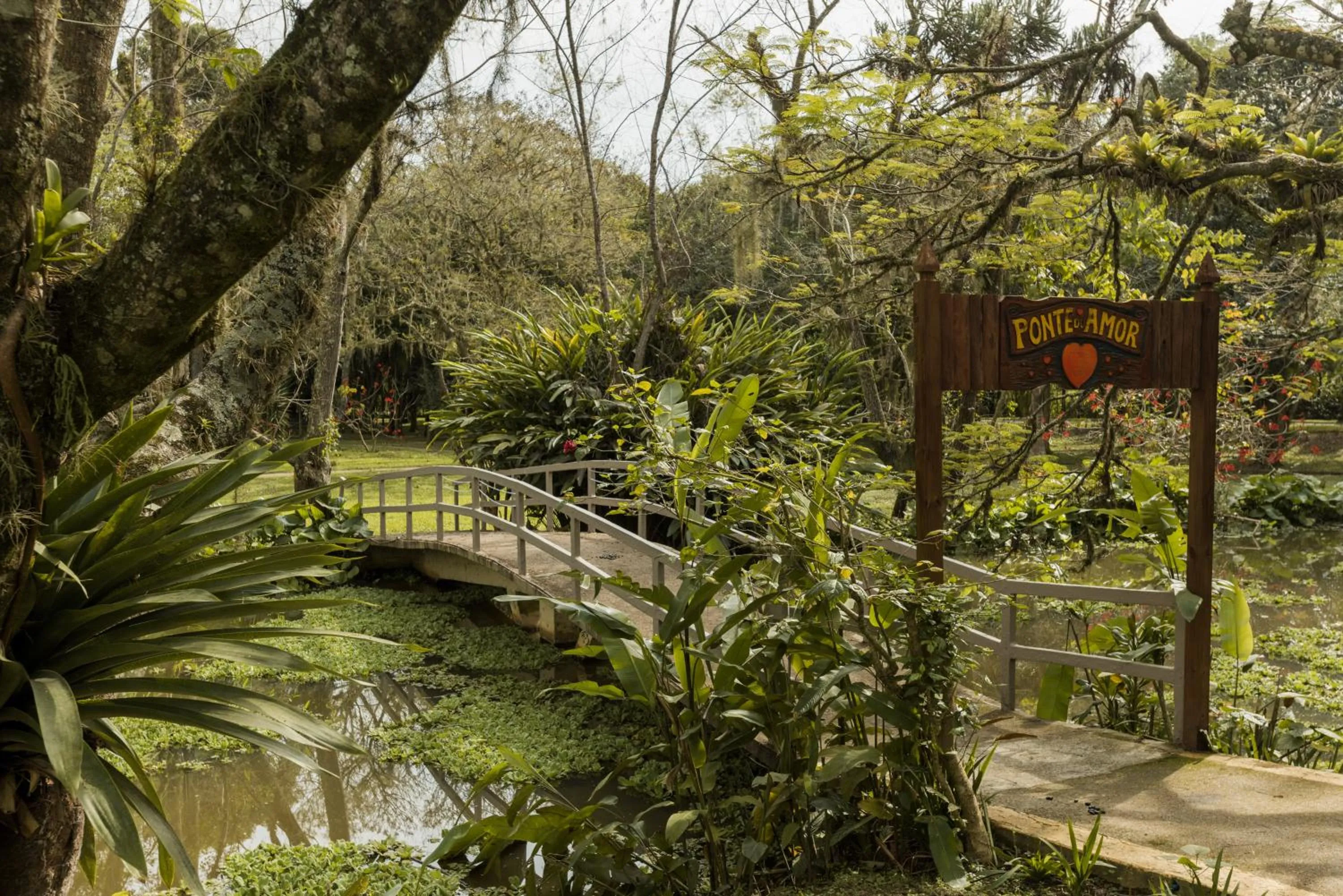 Natural landscape in Hotel Internacional Gravatal