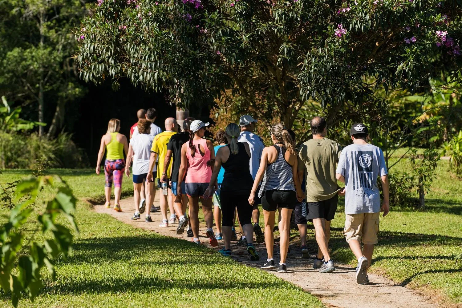 Natural landscape in Hotel Internacional Gravatal