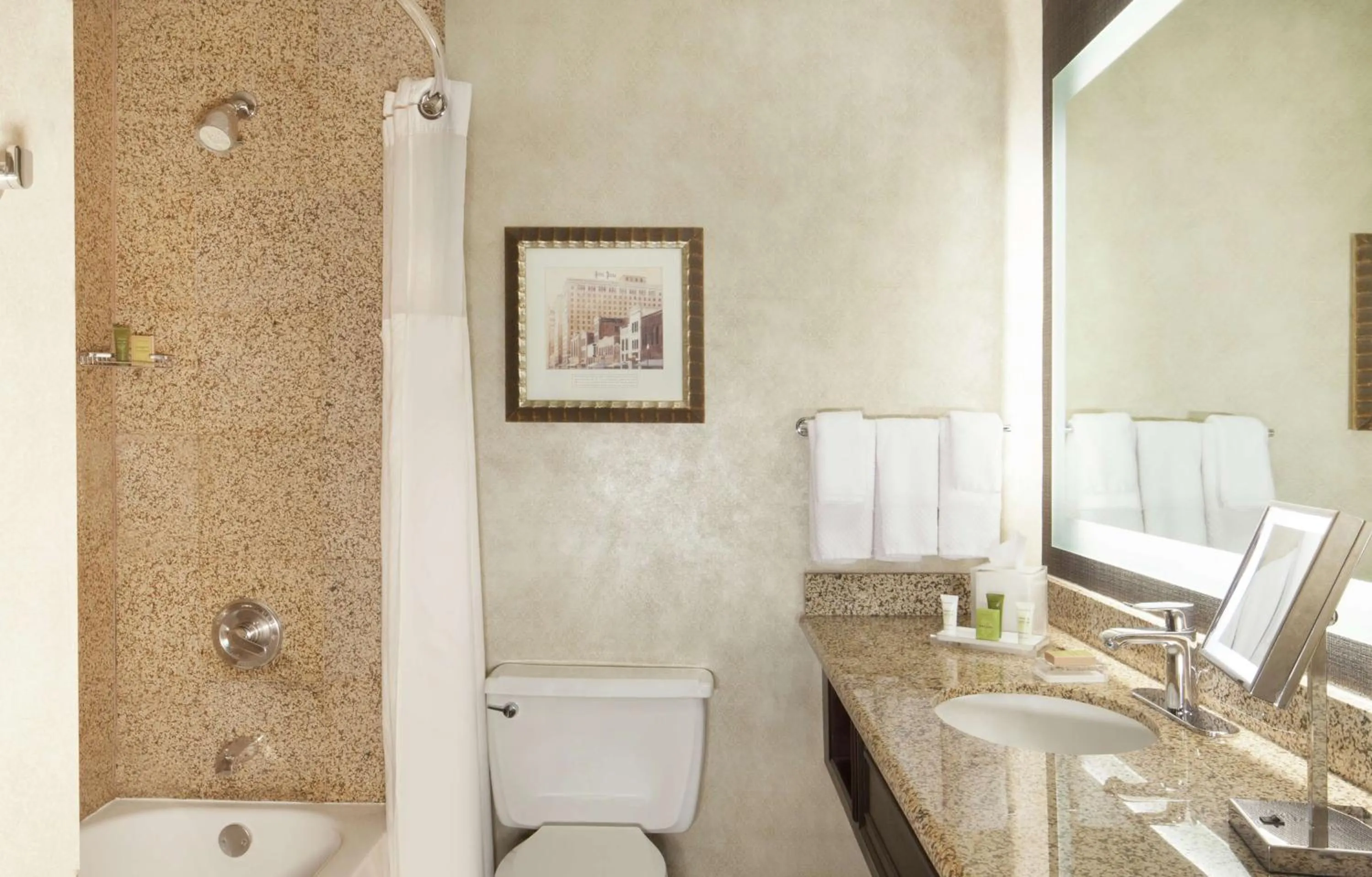 Bathroom in Hilton Fort Worth