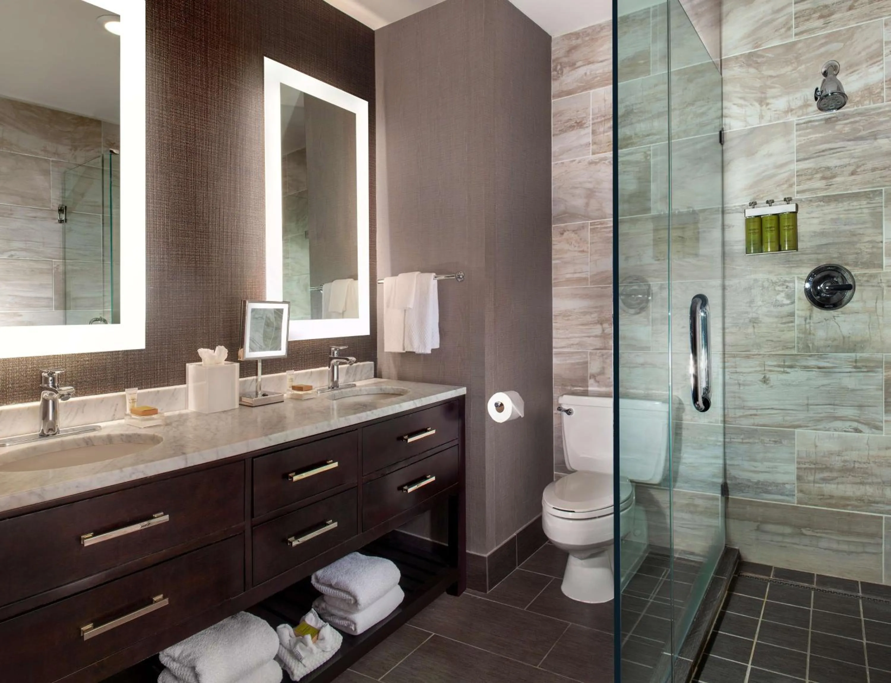 Bathroom in Hilton Fort Worth