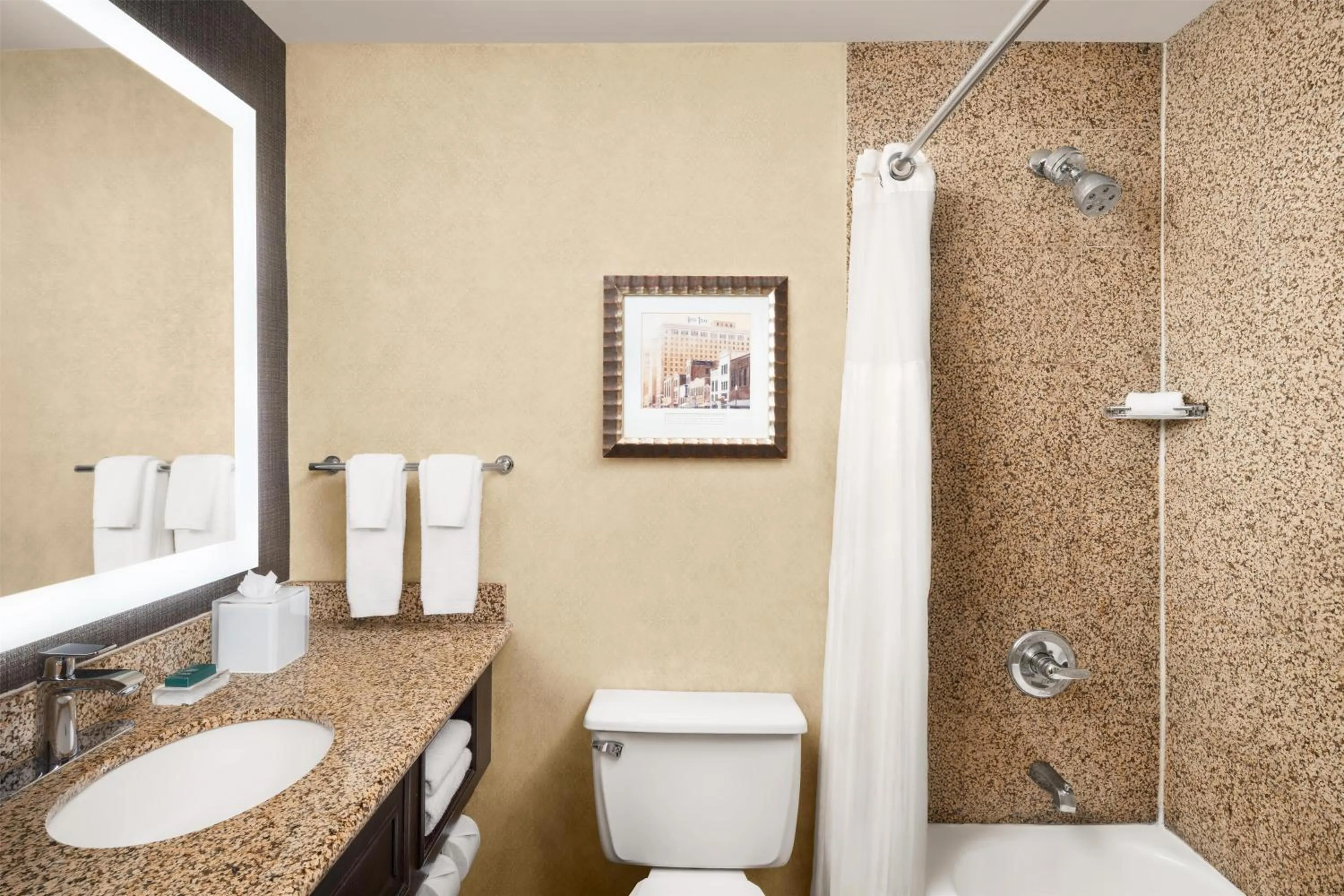 Bathroom in Hilton Fort Worth