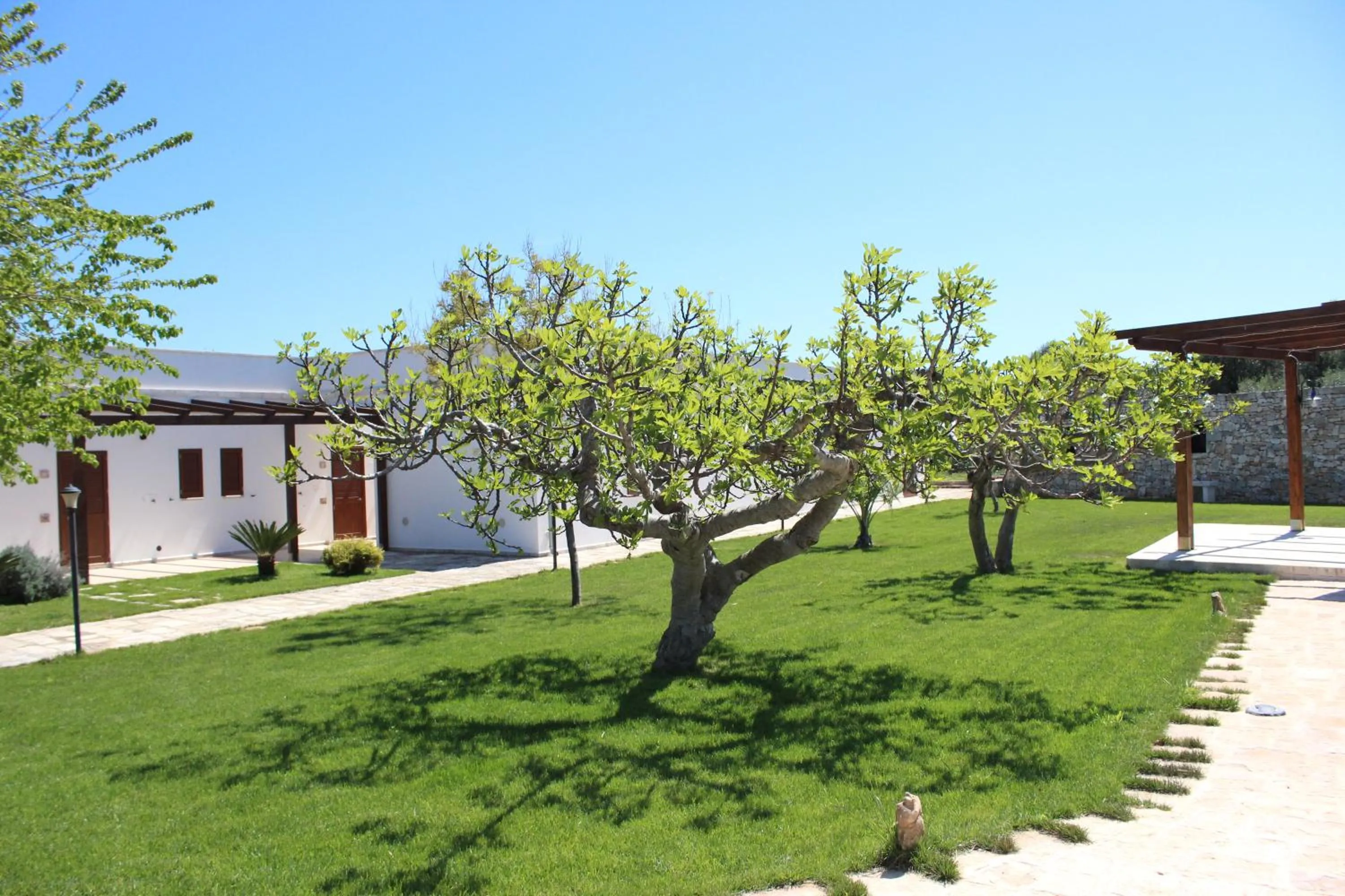 Facade/entrance in Masseria Valente