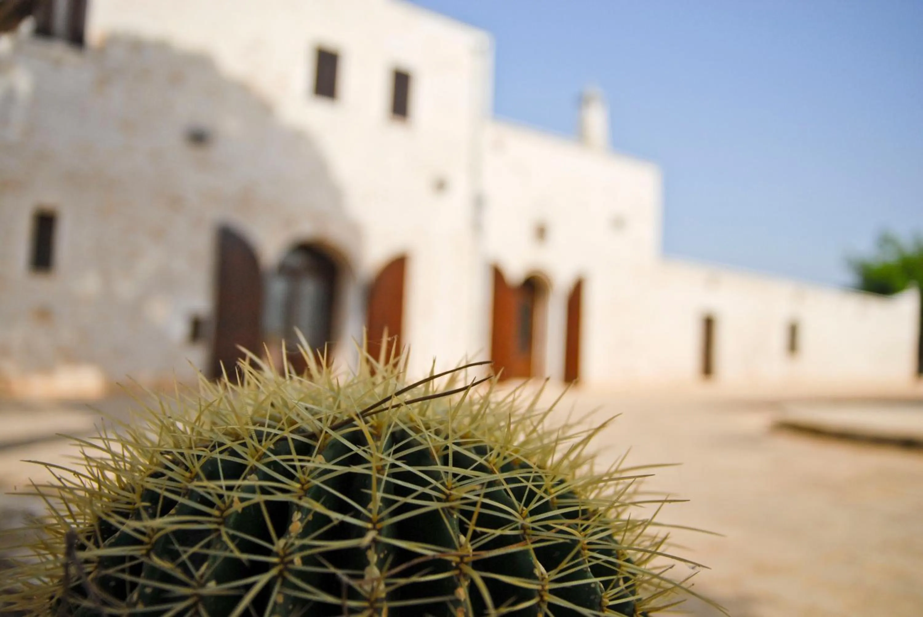 Facade/entrance in Masseria Valente