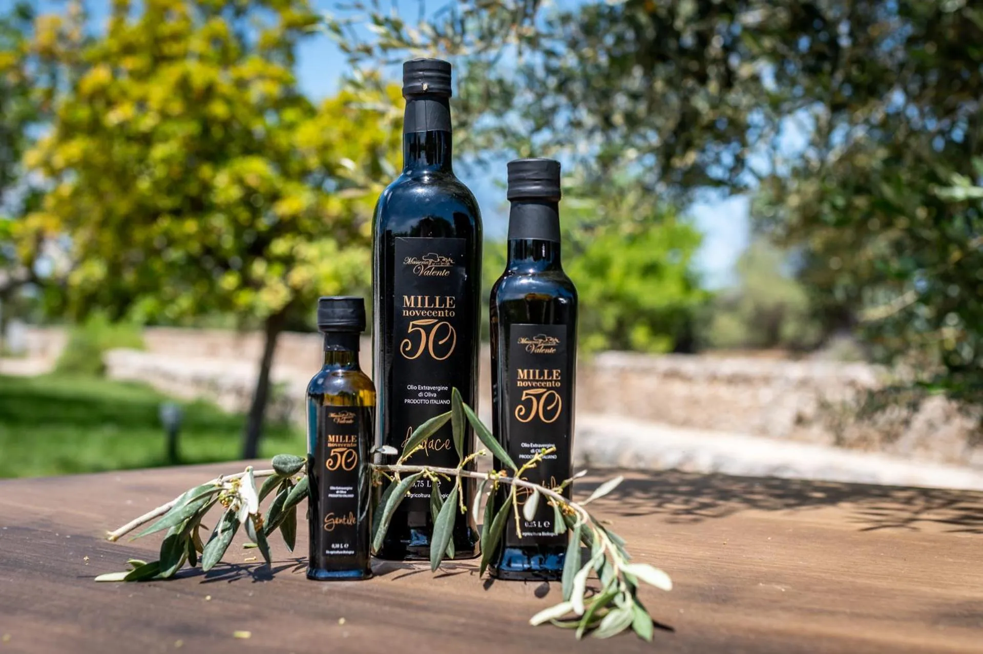 Natural landscape in Masseria Valente