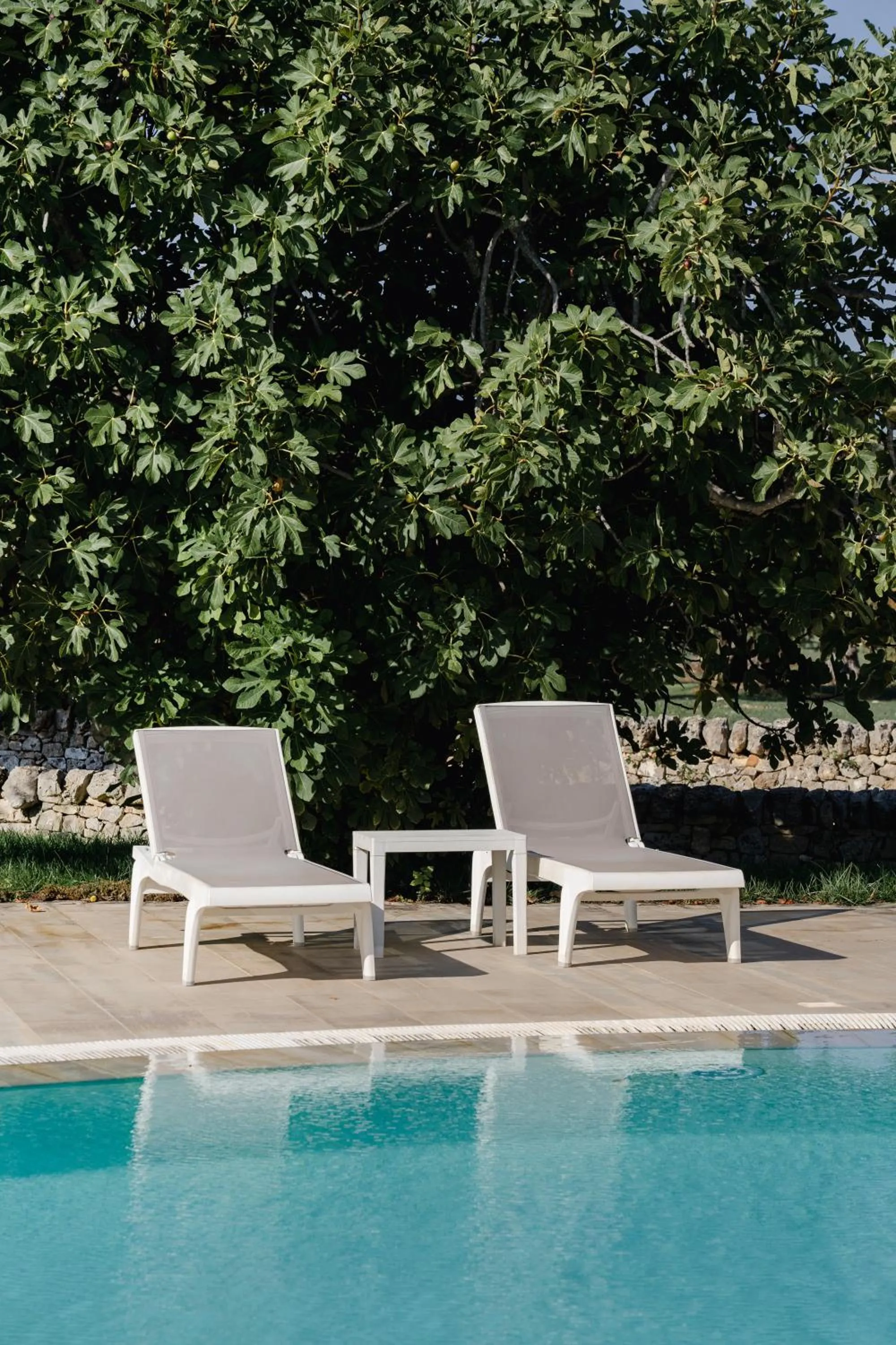 Swimming pool in Masseria Valente