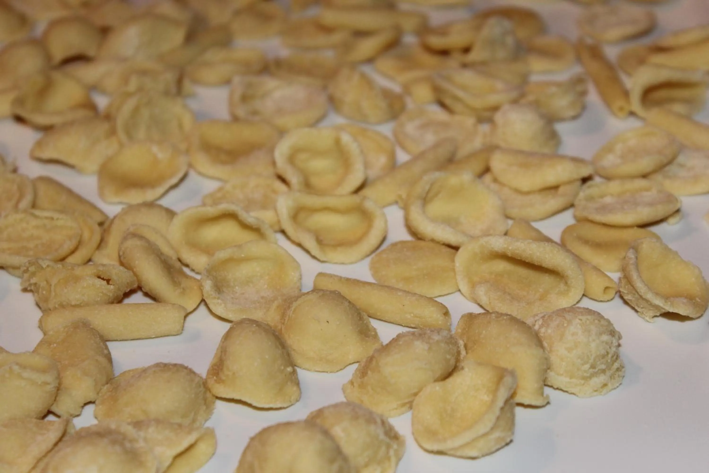 Day in Masseria Valente