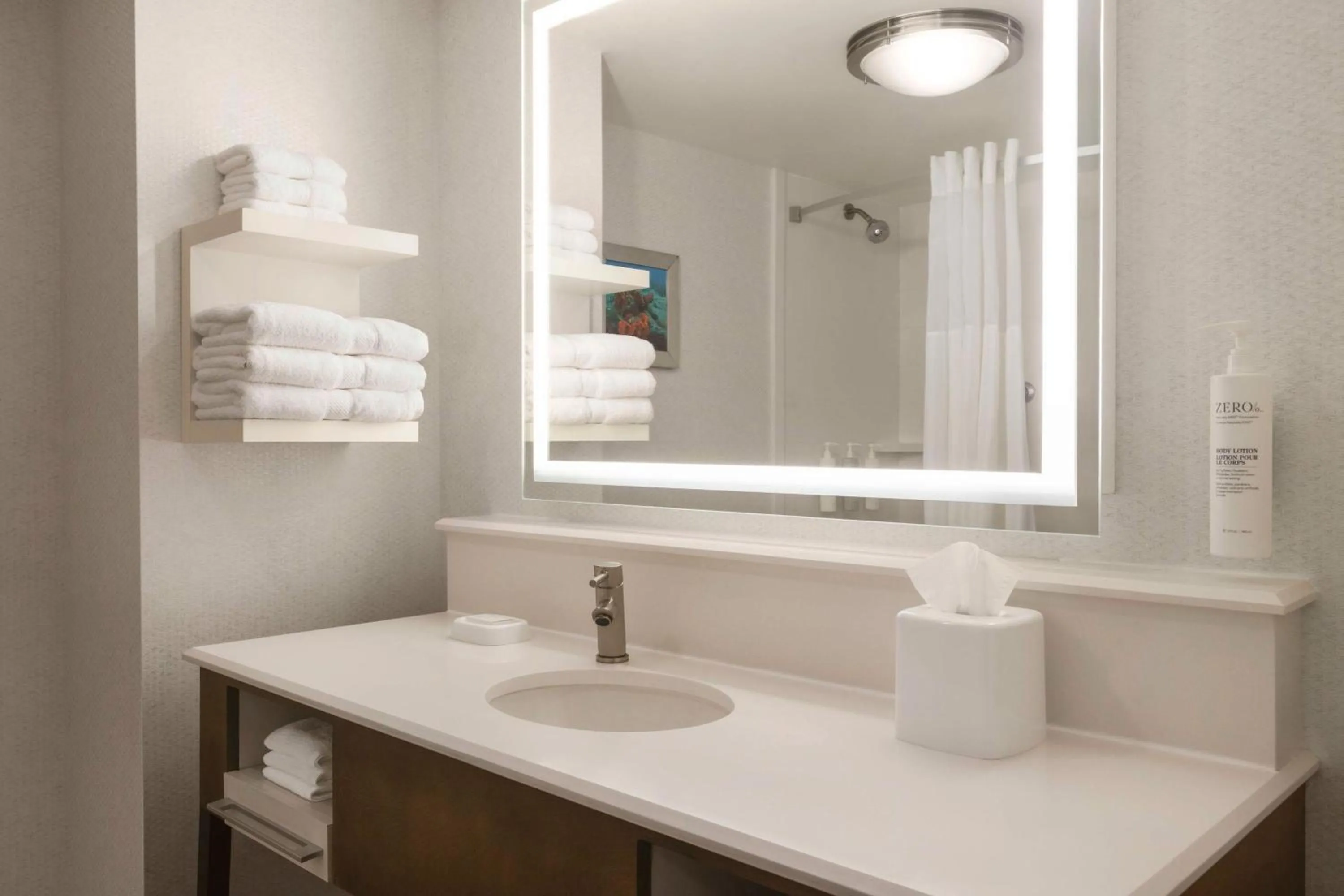 Bathroom in Hampton Inn Pembroke Pines