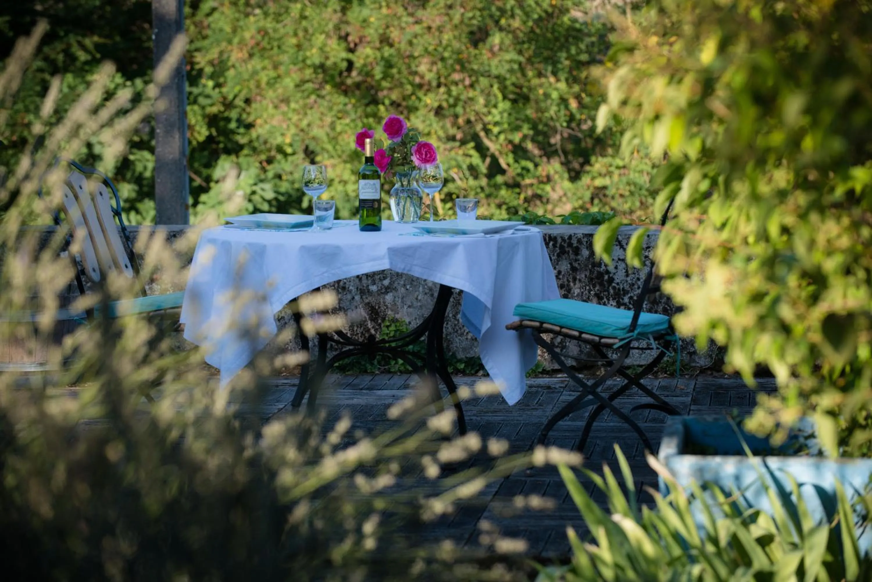 Garden in Le Petit Cochon