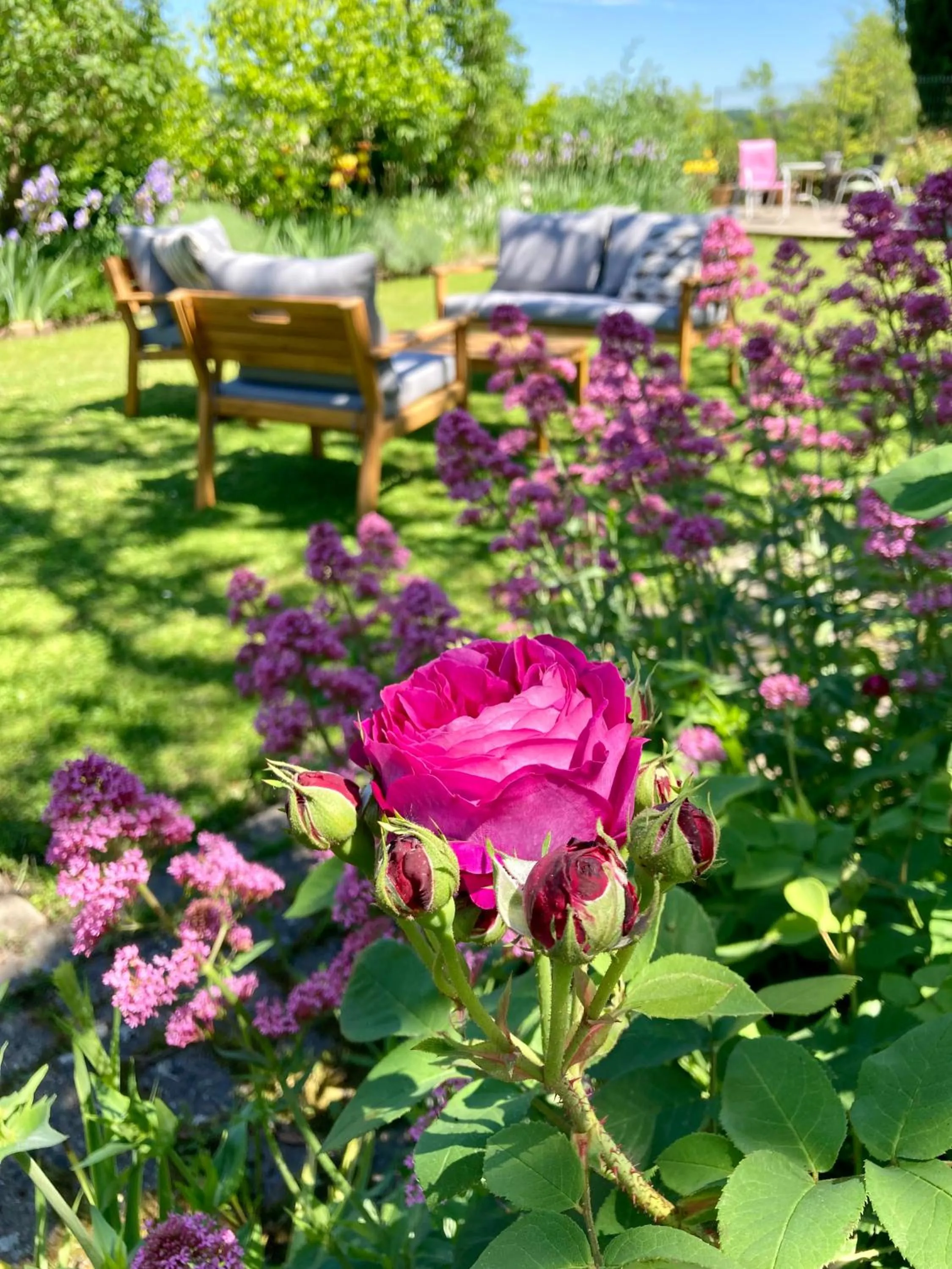 Spring in Le Petit Cochon