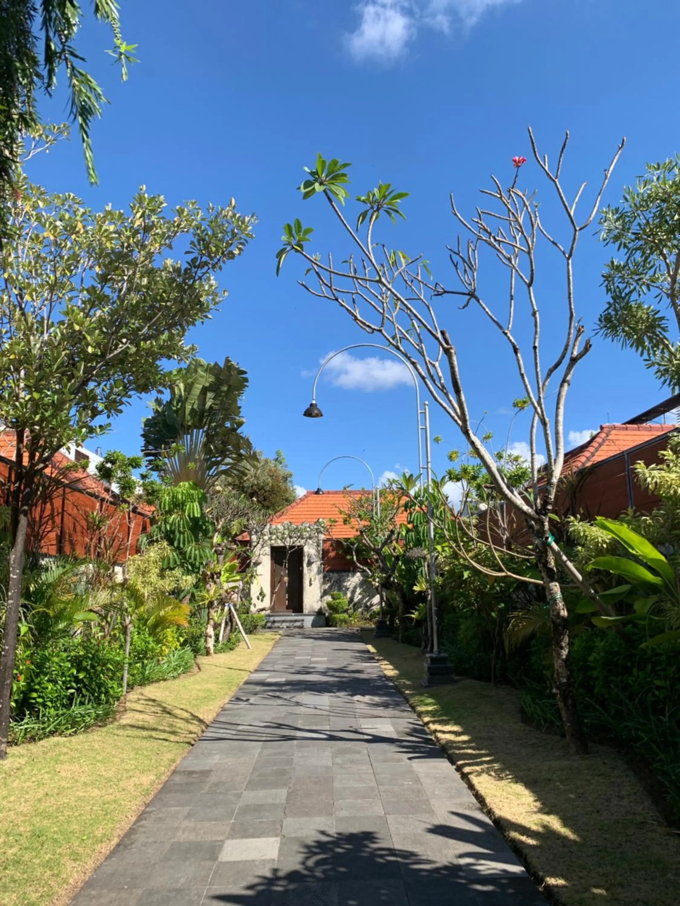 Garden view in The Awan Villas Seminyak