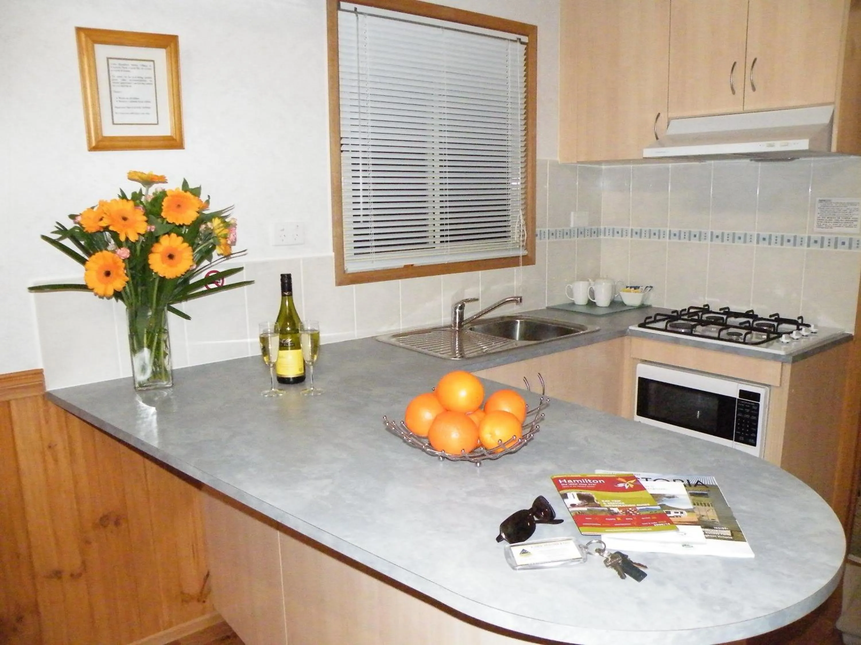 Kitchen or kitchenette in Lake Hamilton Motor Village and Caravan Park
